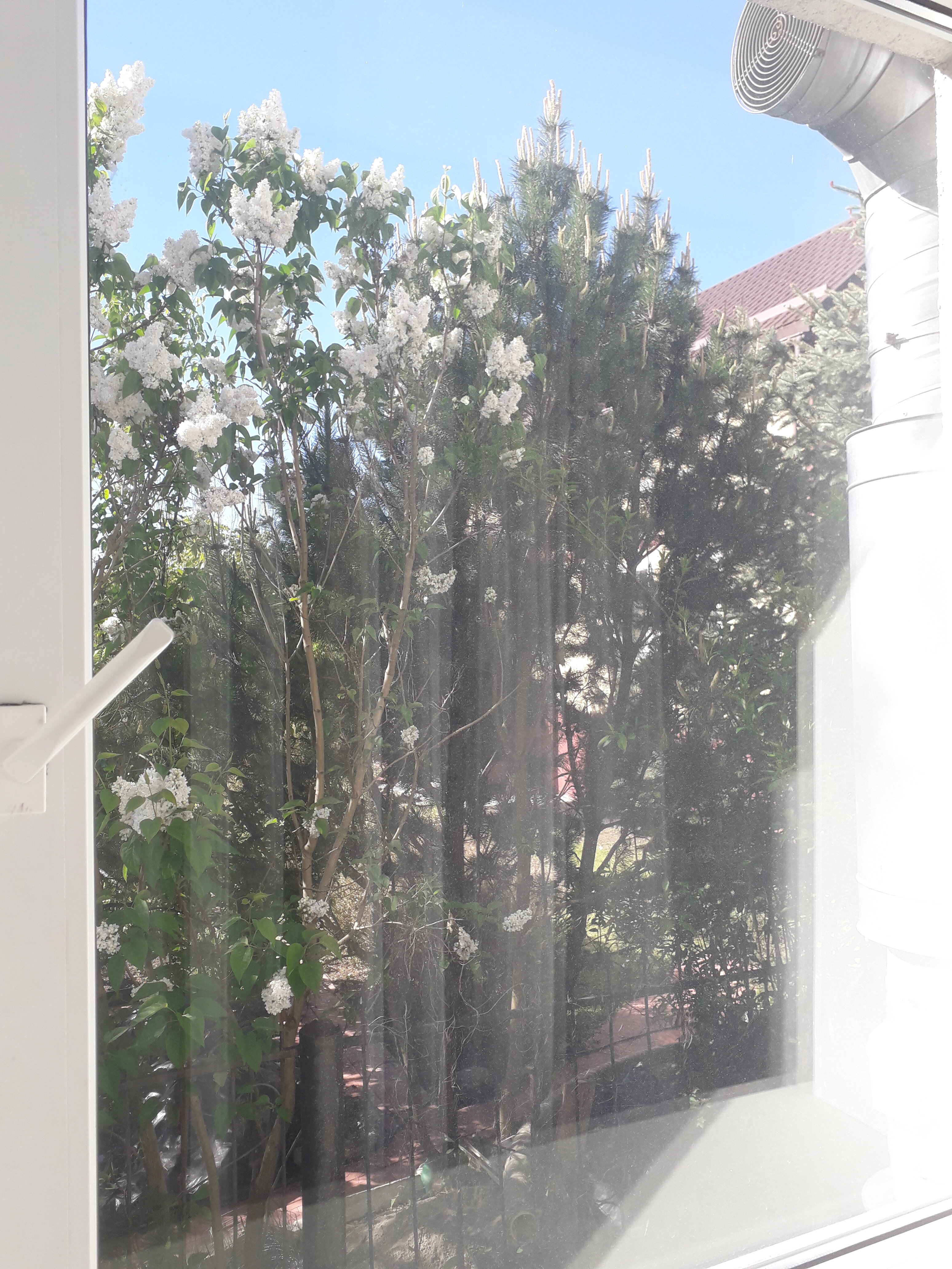 Фото Танзания