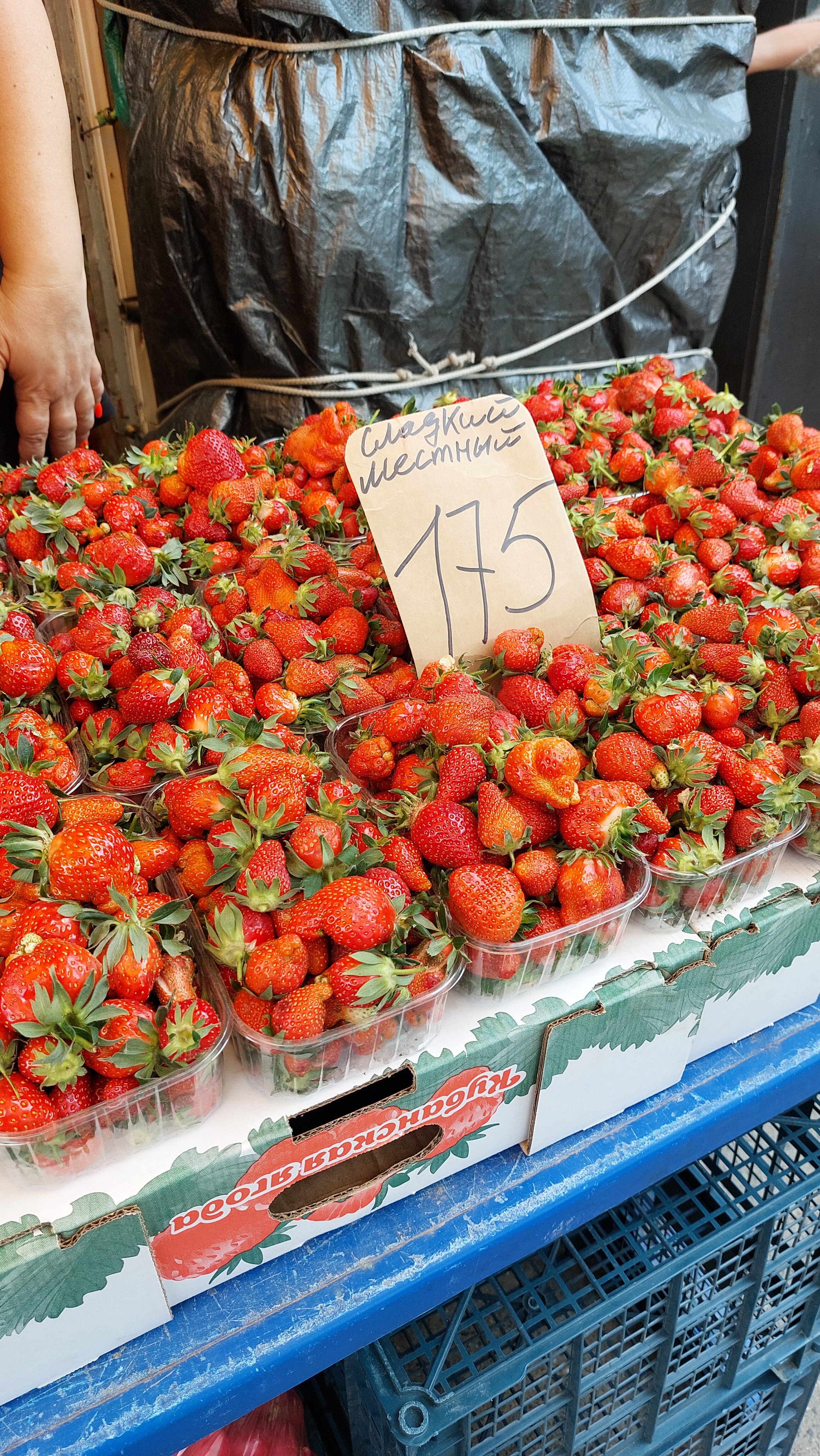 Фото Ванилька