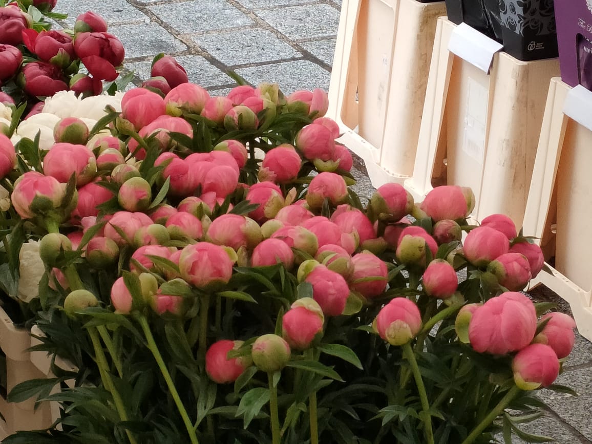 Фото Hôtel Le Versailles