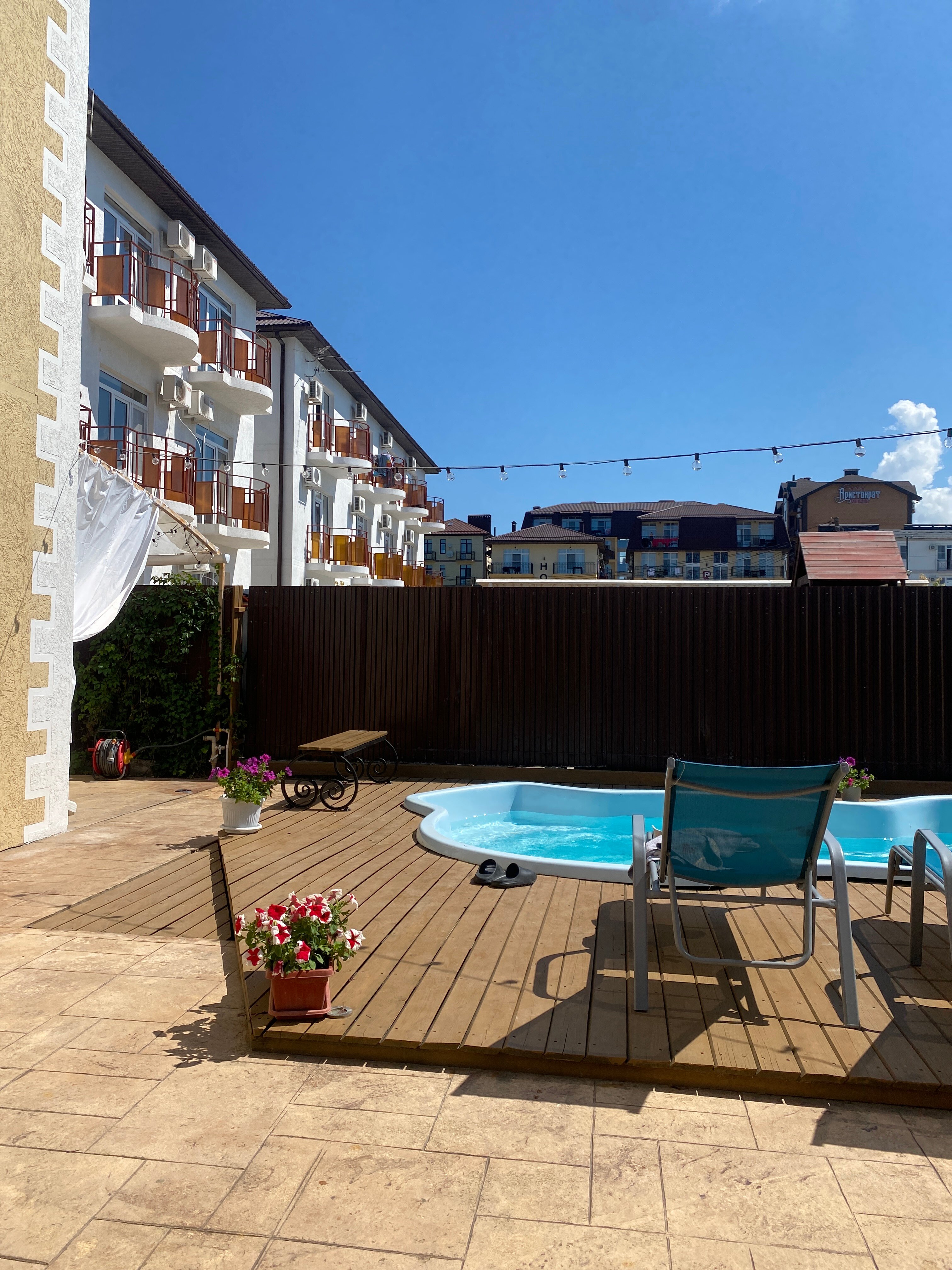 Фото Солнечная орхидея