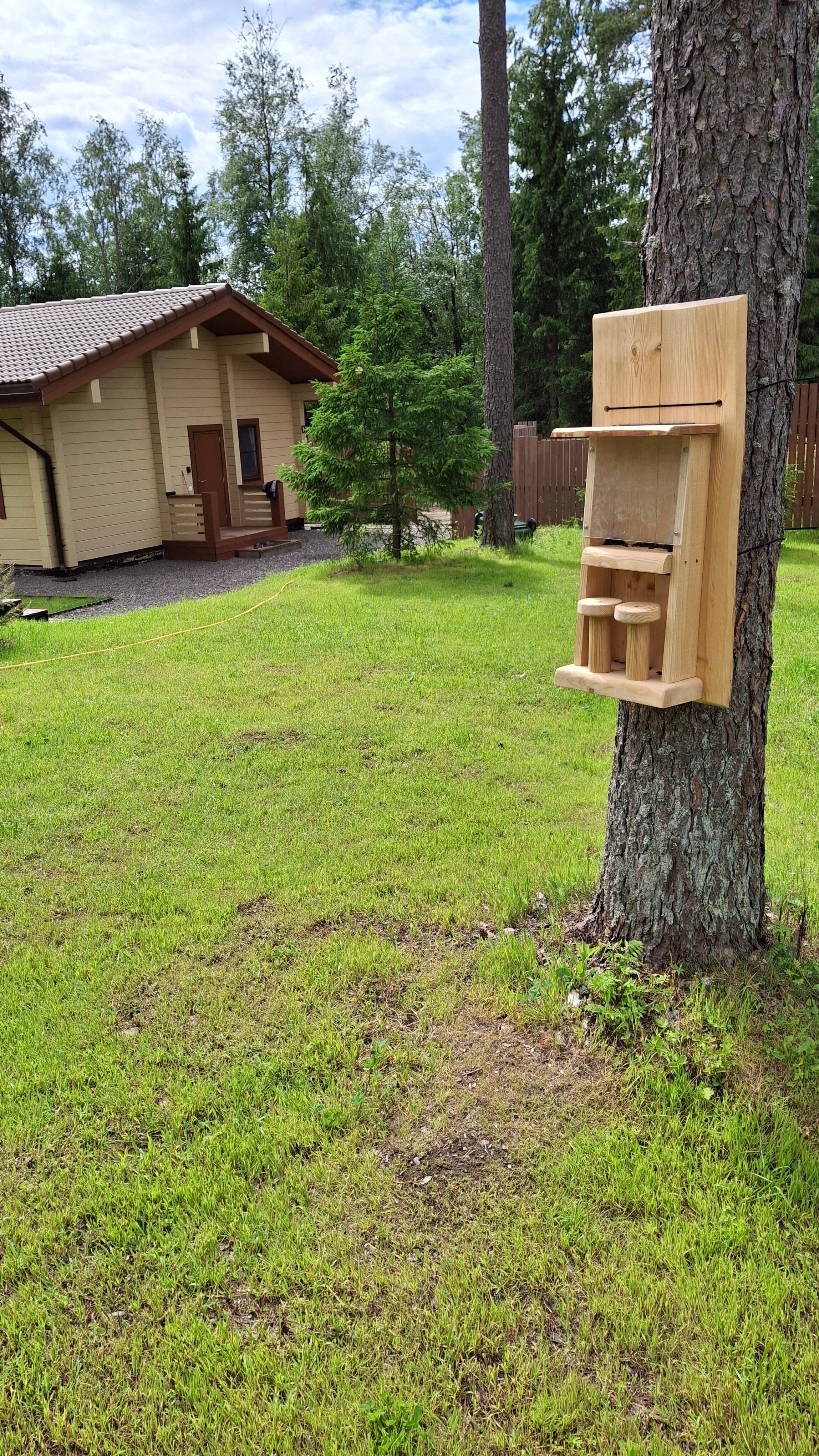 Фото Sosnovka house