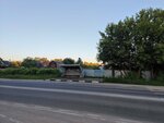 Мамонтово (Moscow Region, Bogorodskiy Urban District, selo Mamontovo, ulitsa Gorkogo), parada de transporte público