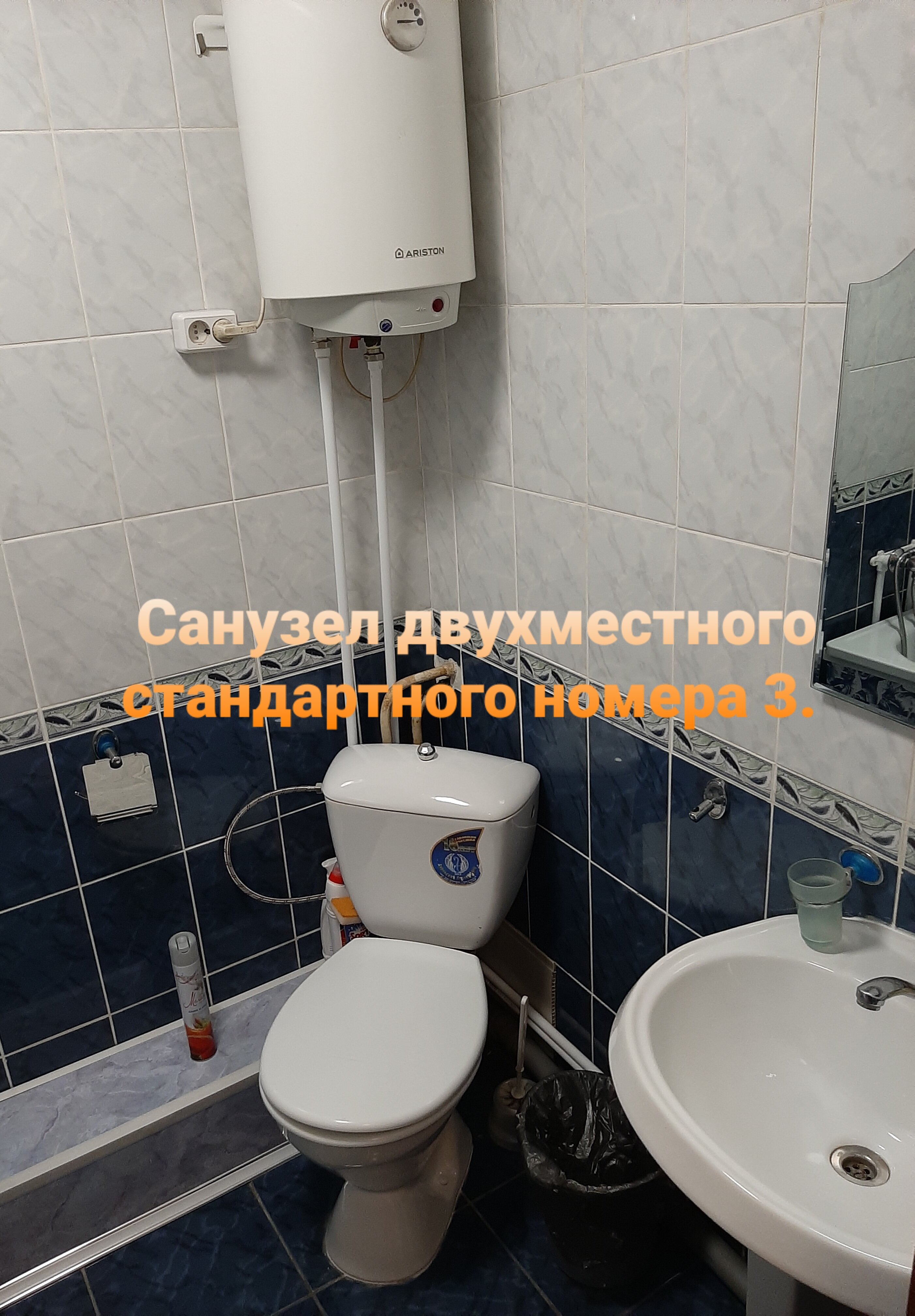 Фото Колибри