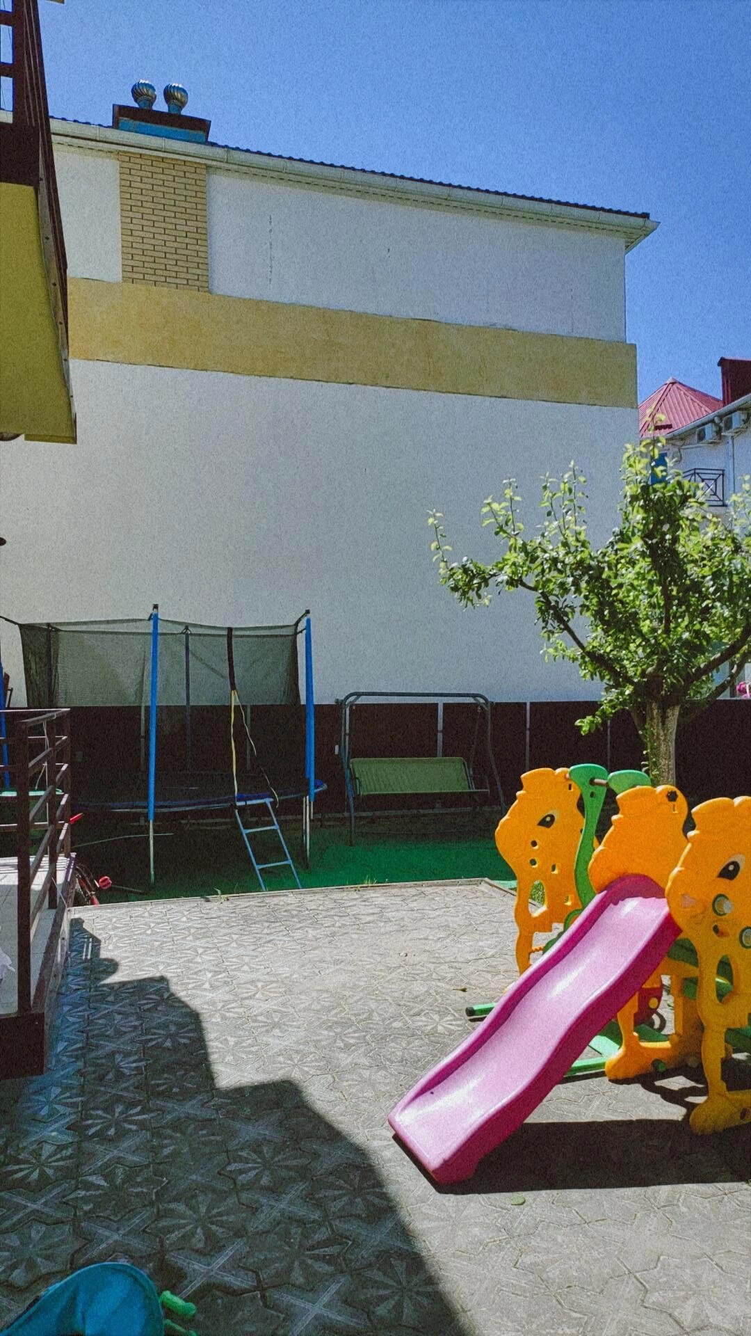 Фото Розовый сад