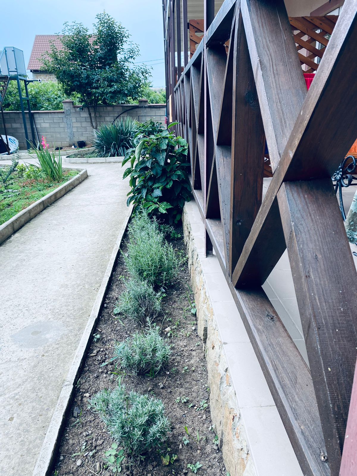 Фото Атмосфера