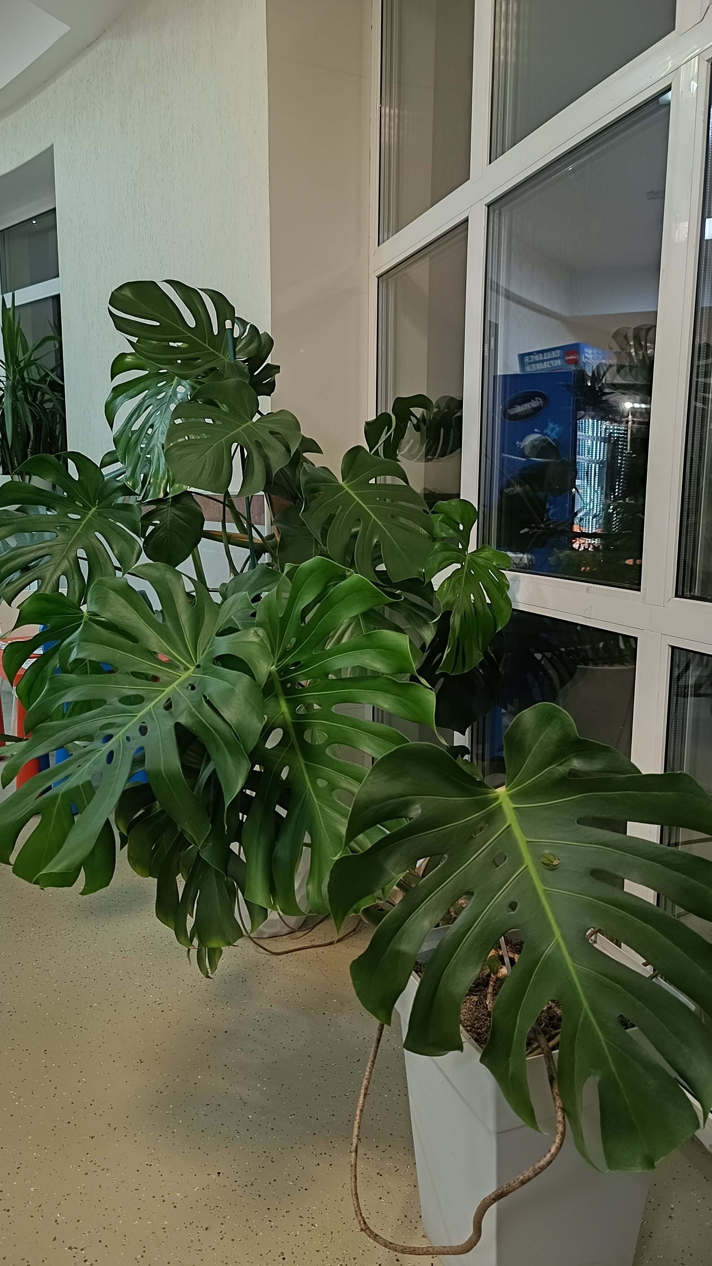 Фото Восток 1453