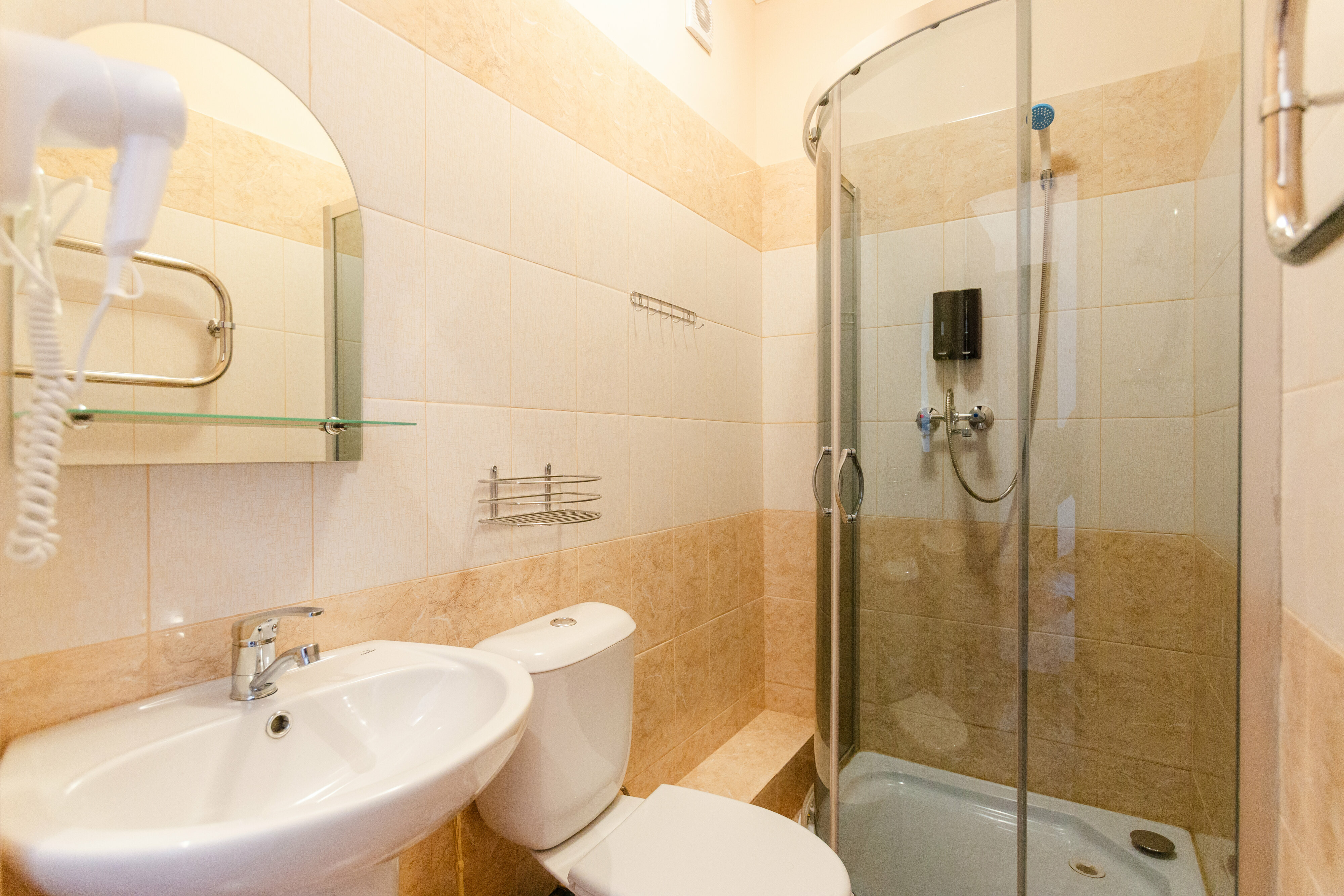 Фото Авокадо