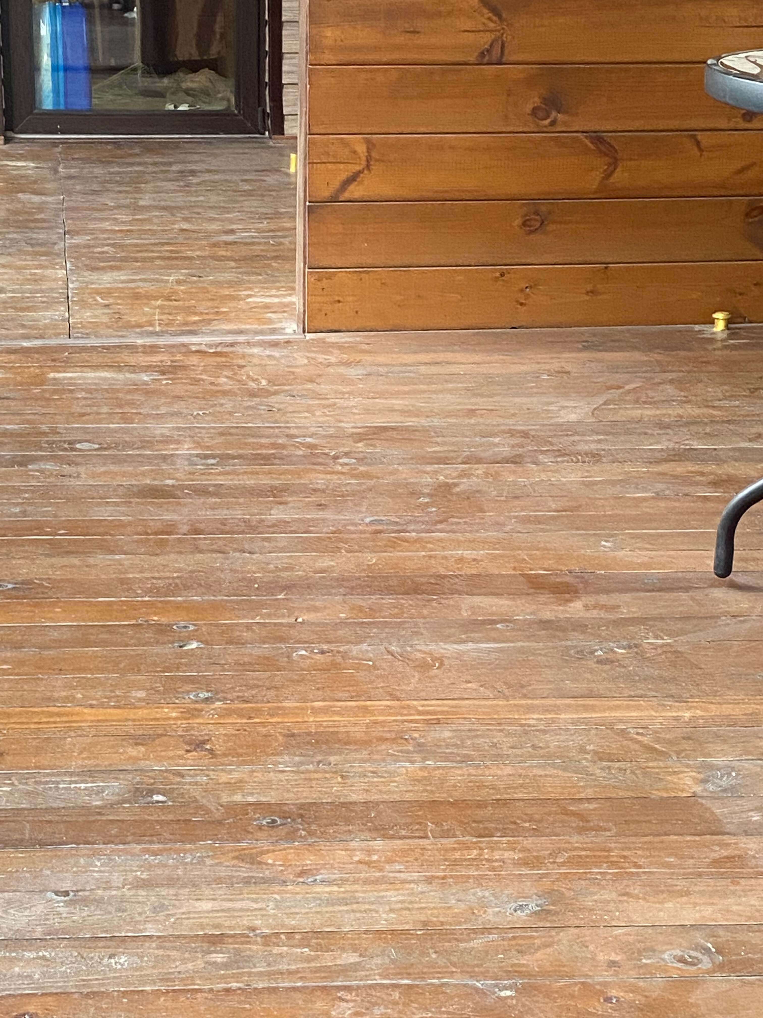 Фото Алая Роза