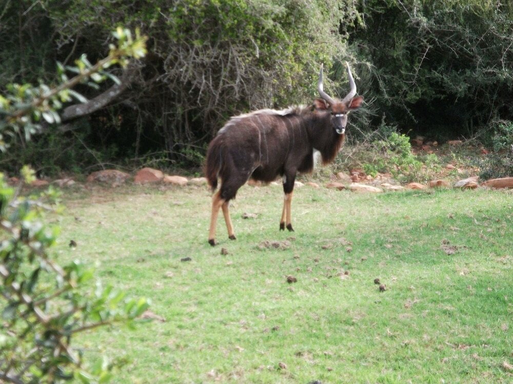 Фото Valley Bushveld Country Lodge