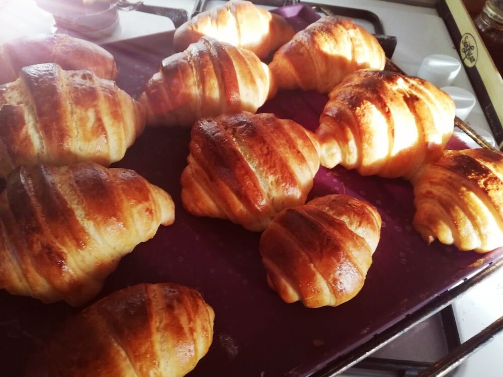 Фото Villa Degli Olivi Siena