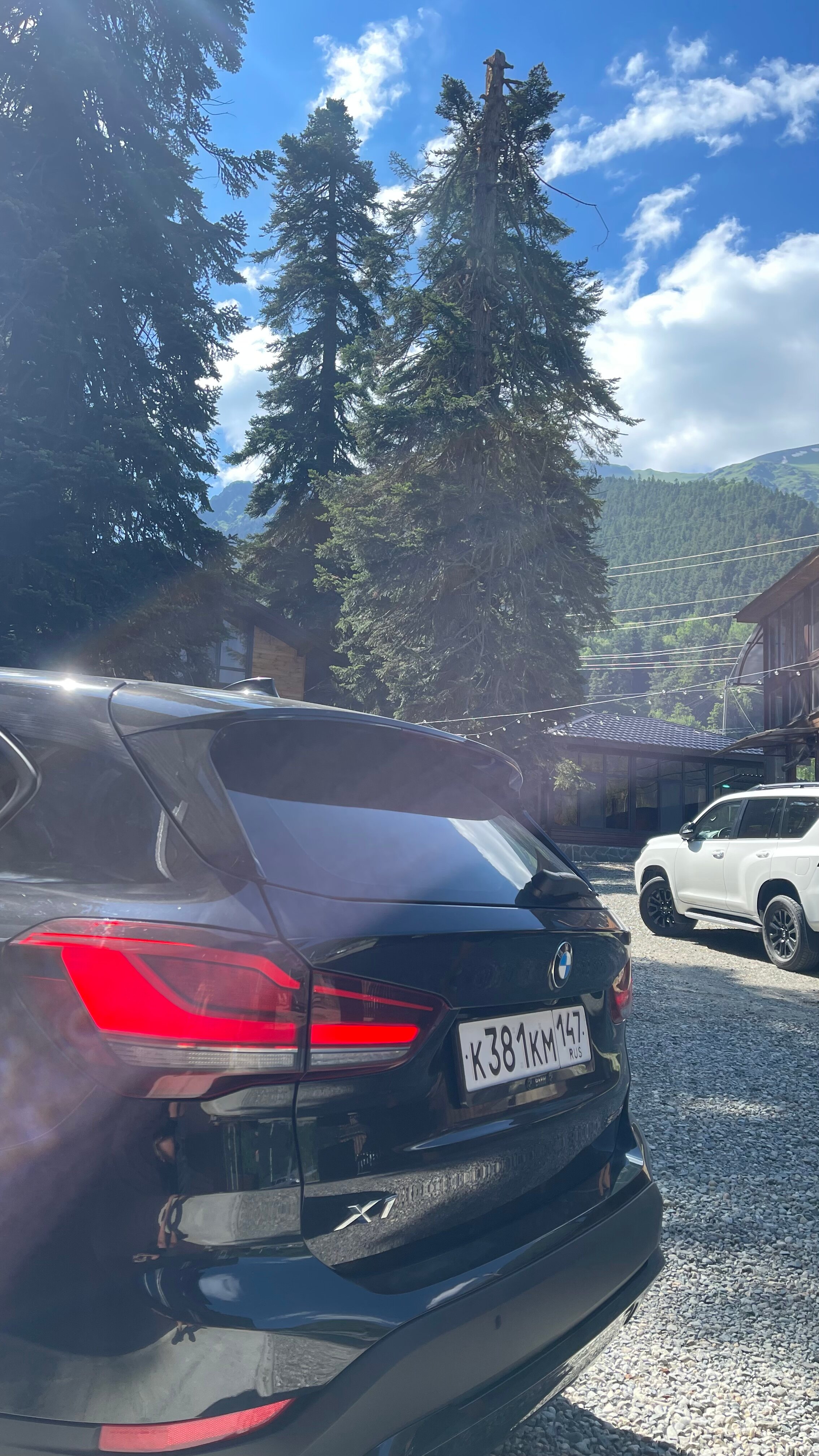 Фото Горная Лаванда