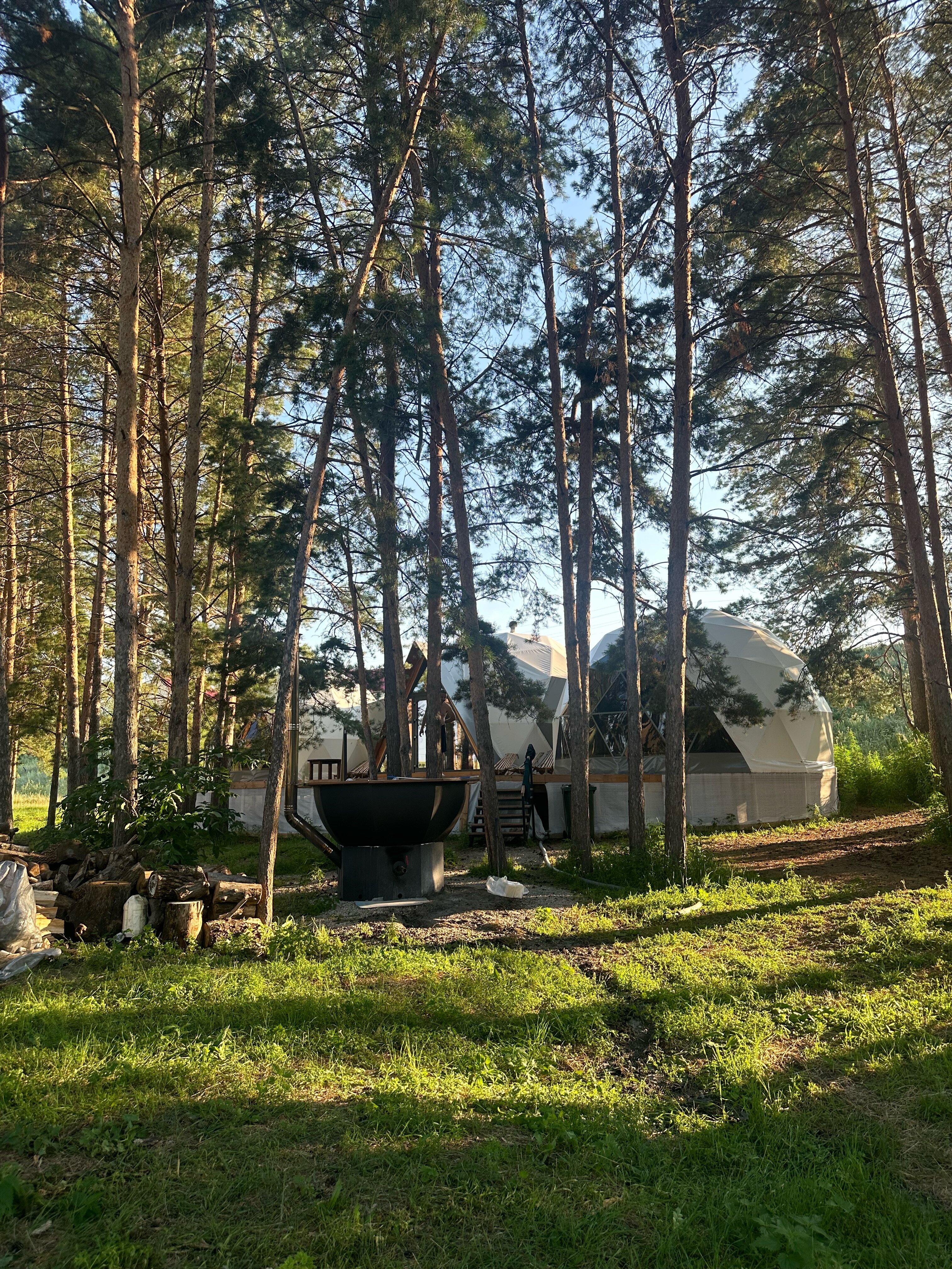 Фото Йола