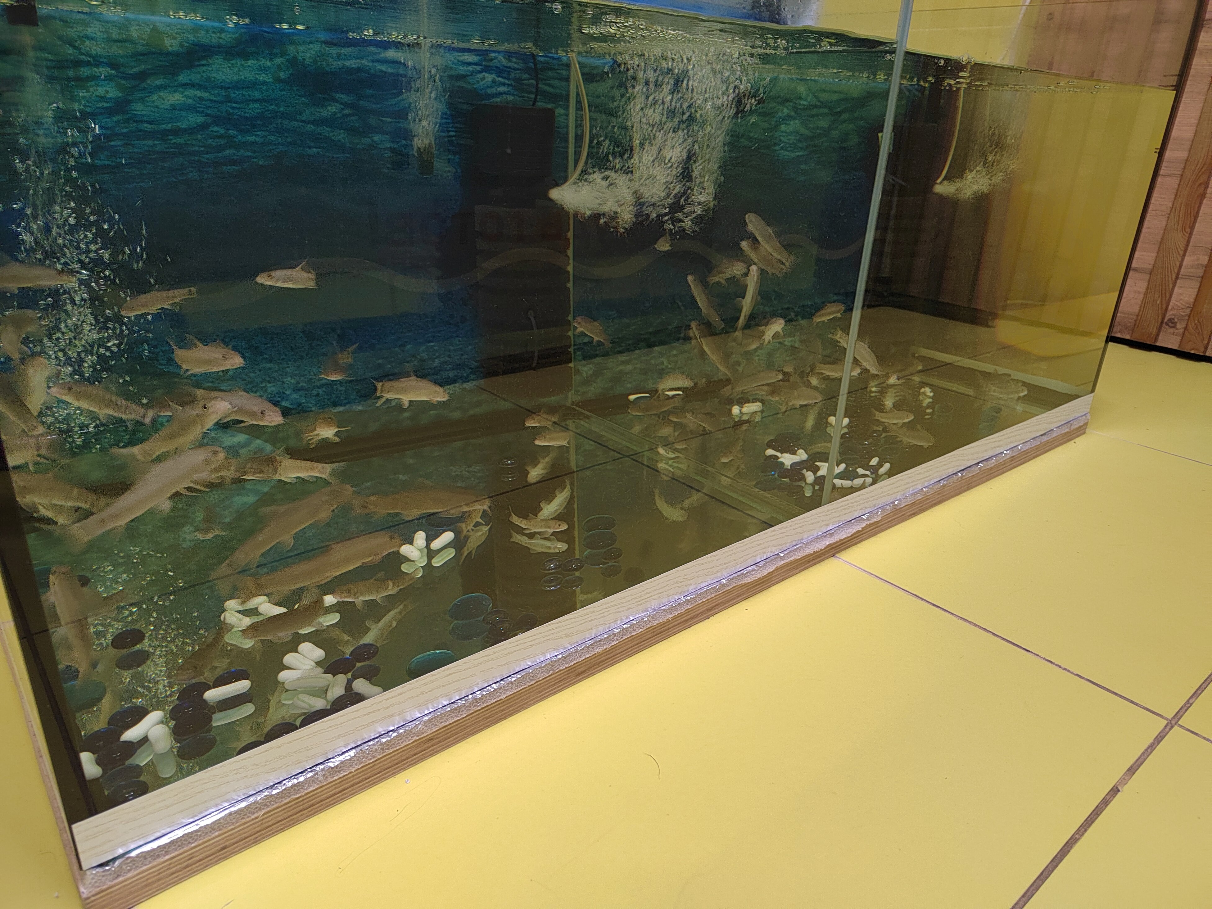 Фото Термы Пионер