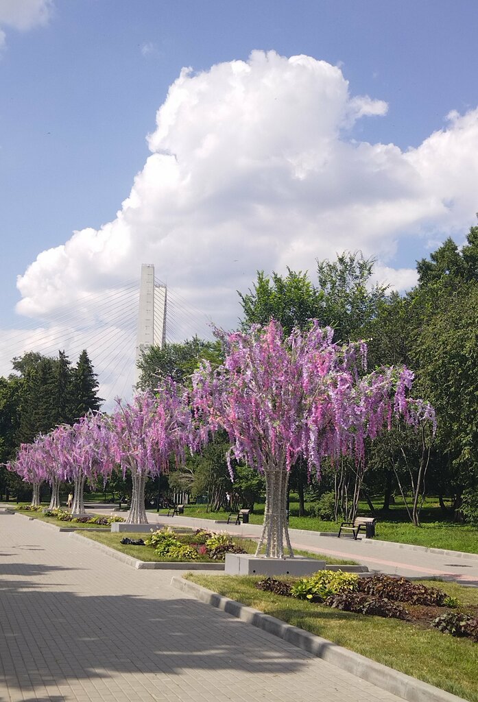 Park сквер Река времени, Novosibirsk, photo