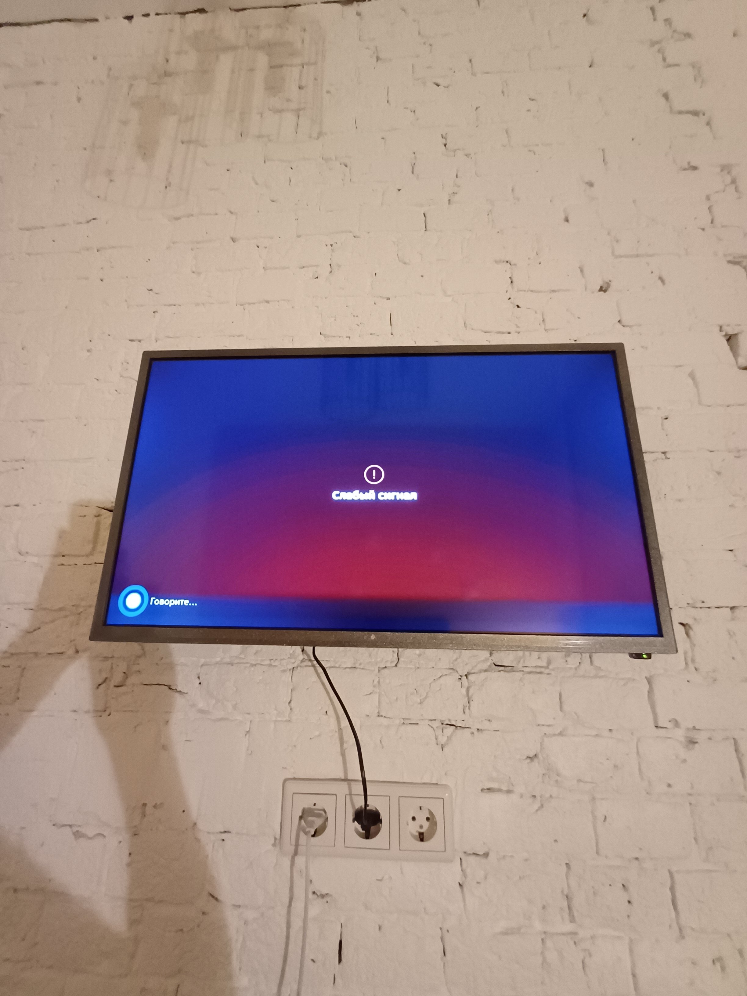 Фото Птица-Синица