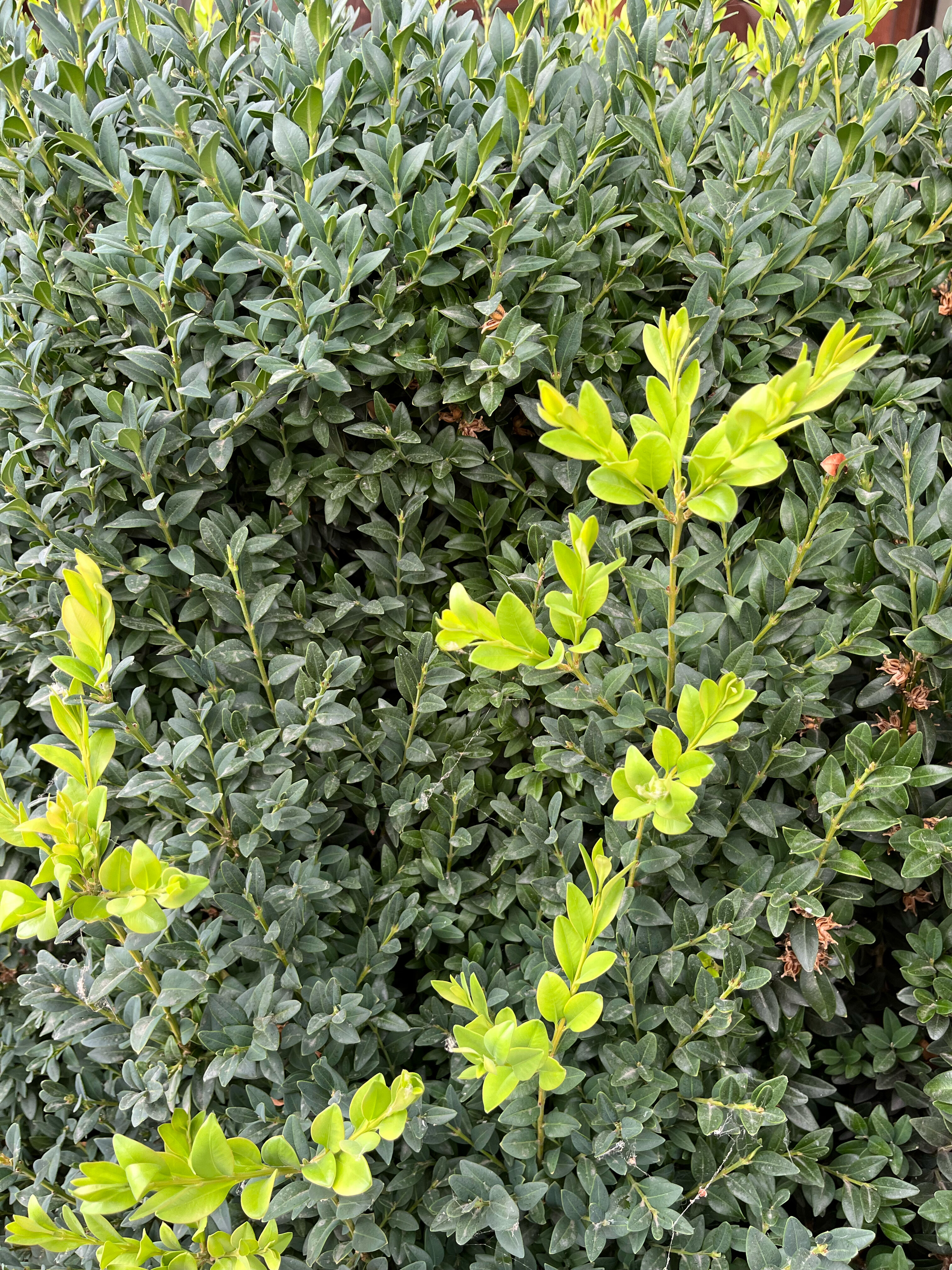 Фото Атмосфера