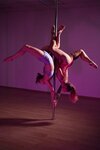 Goldy Pole Dance (Ilyinskoye Highway, 1А) ، مدرسة لتعليم الرقص