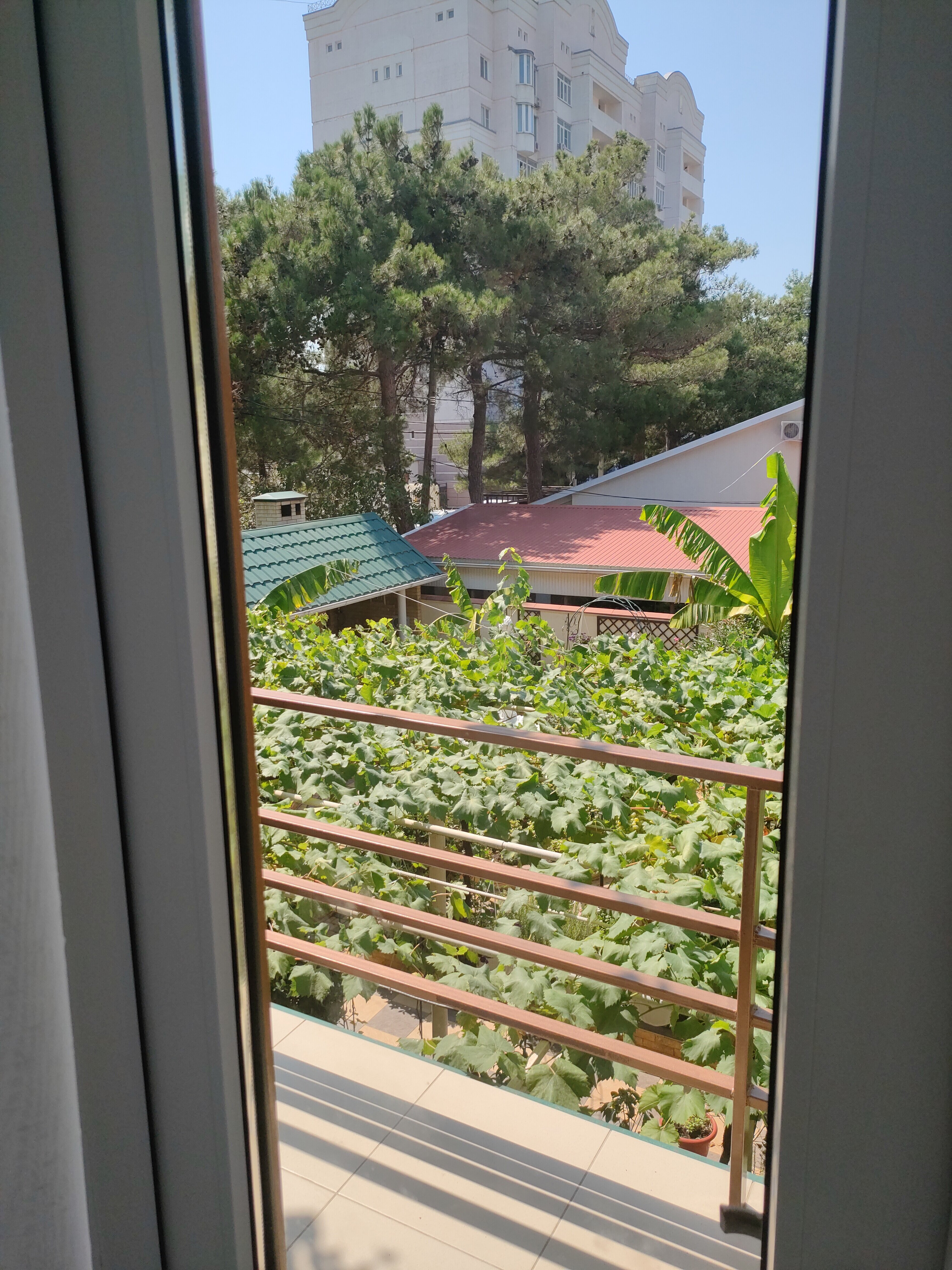 Фото Акварель