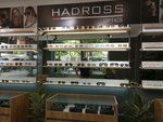 Glasses online shop (Komitas Avenue, 8) ، متجر أدوات بصرية