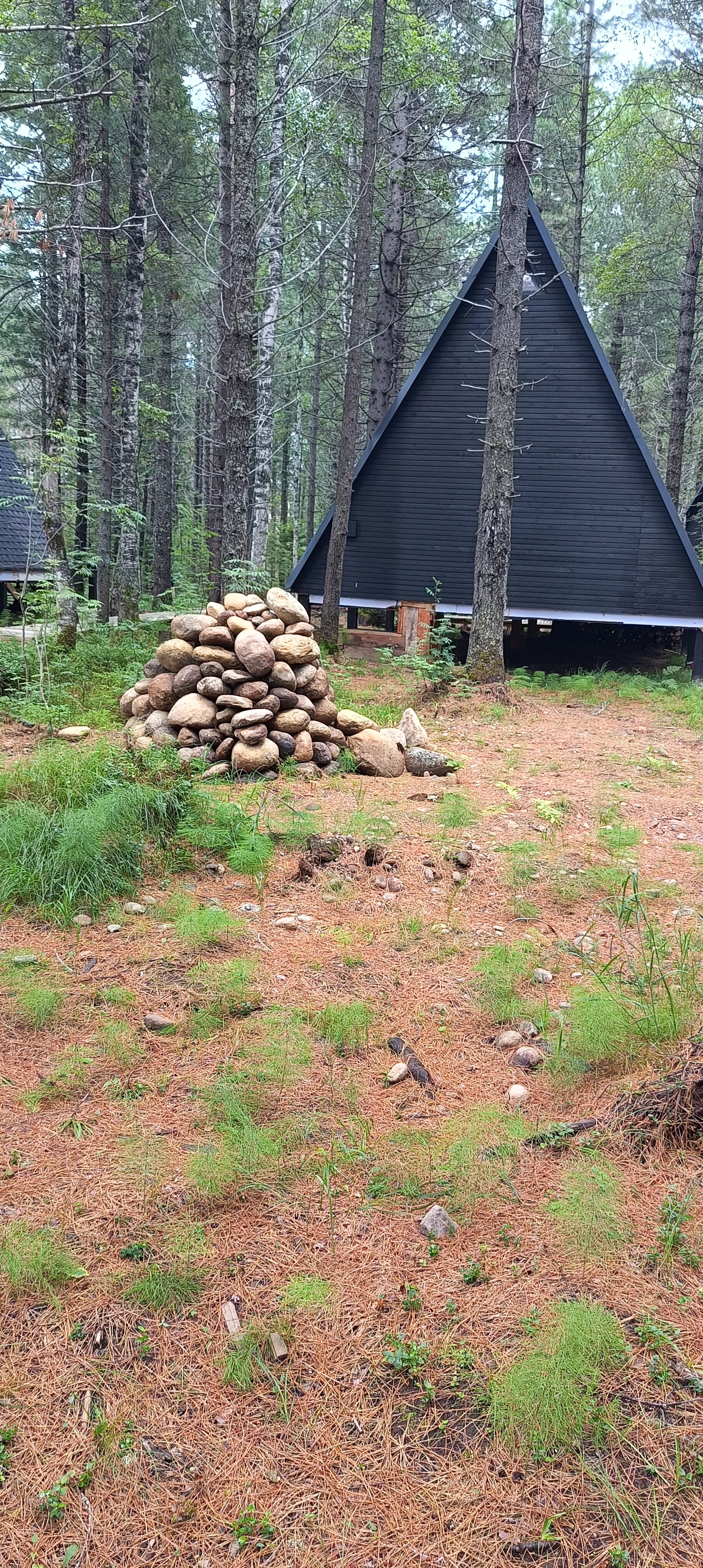 Фото Тэнгис