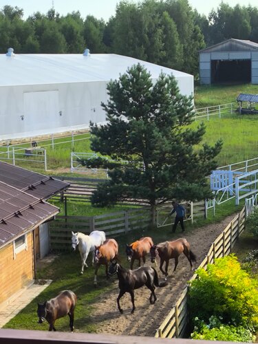 Дом отдыха Конный Двор в Смоленской области