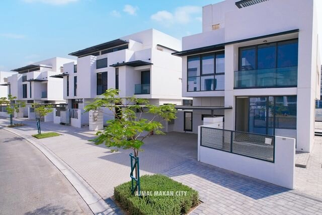 Real estate agency White Wolf Real Estate, company, Dubai, photo