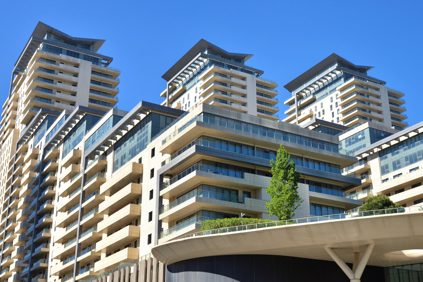 Ол балапанды жалайды және кончаларын алады.