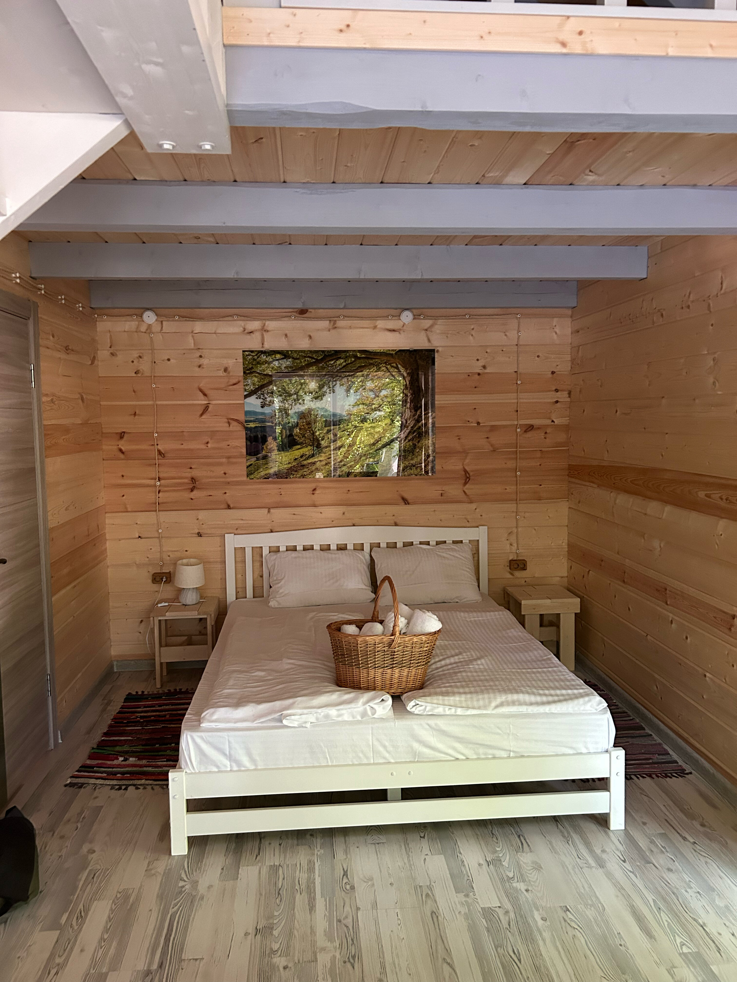 Фото Балтик Спорт