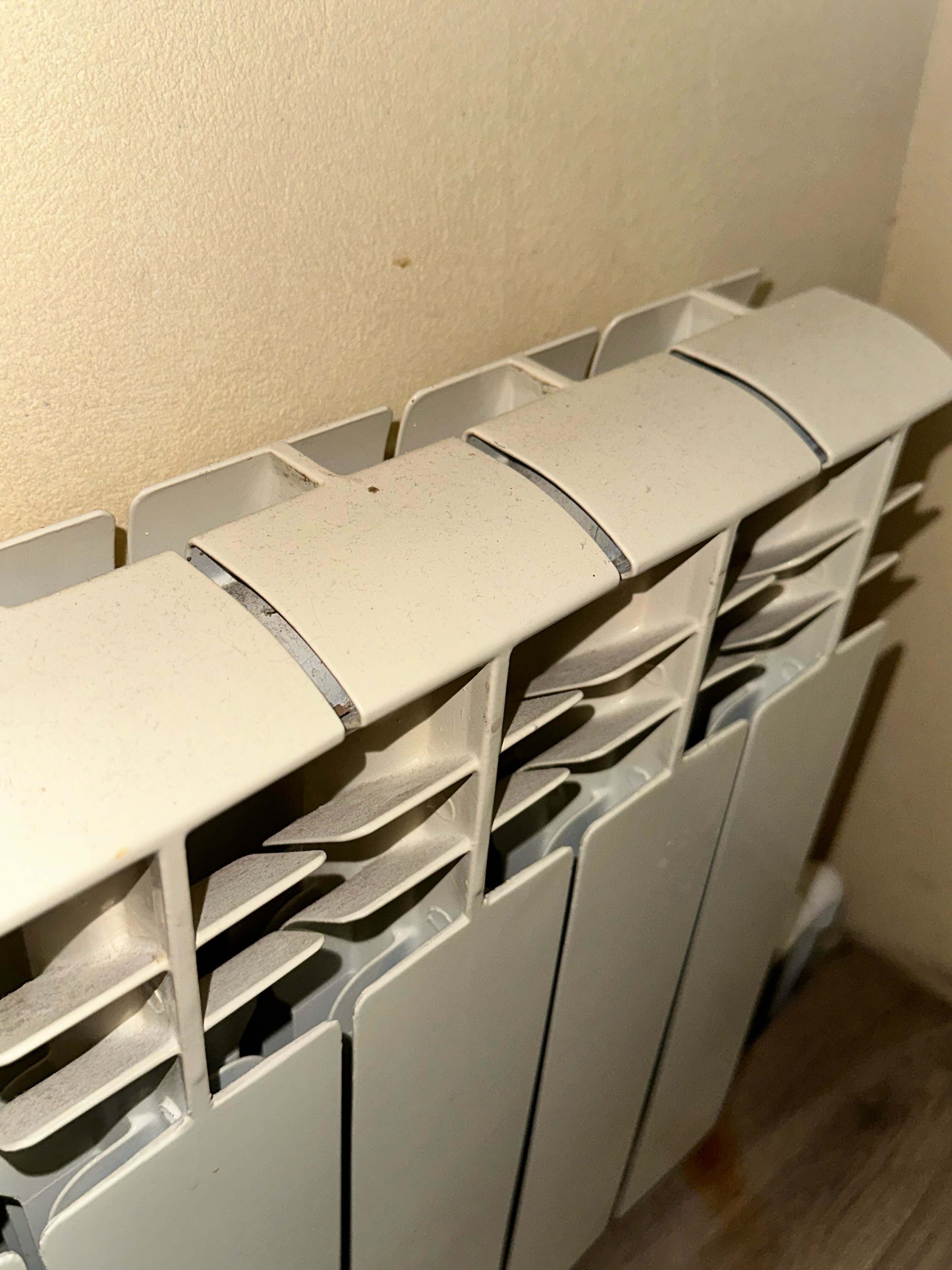 Фото Роза Ветров