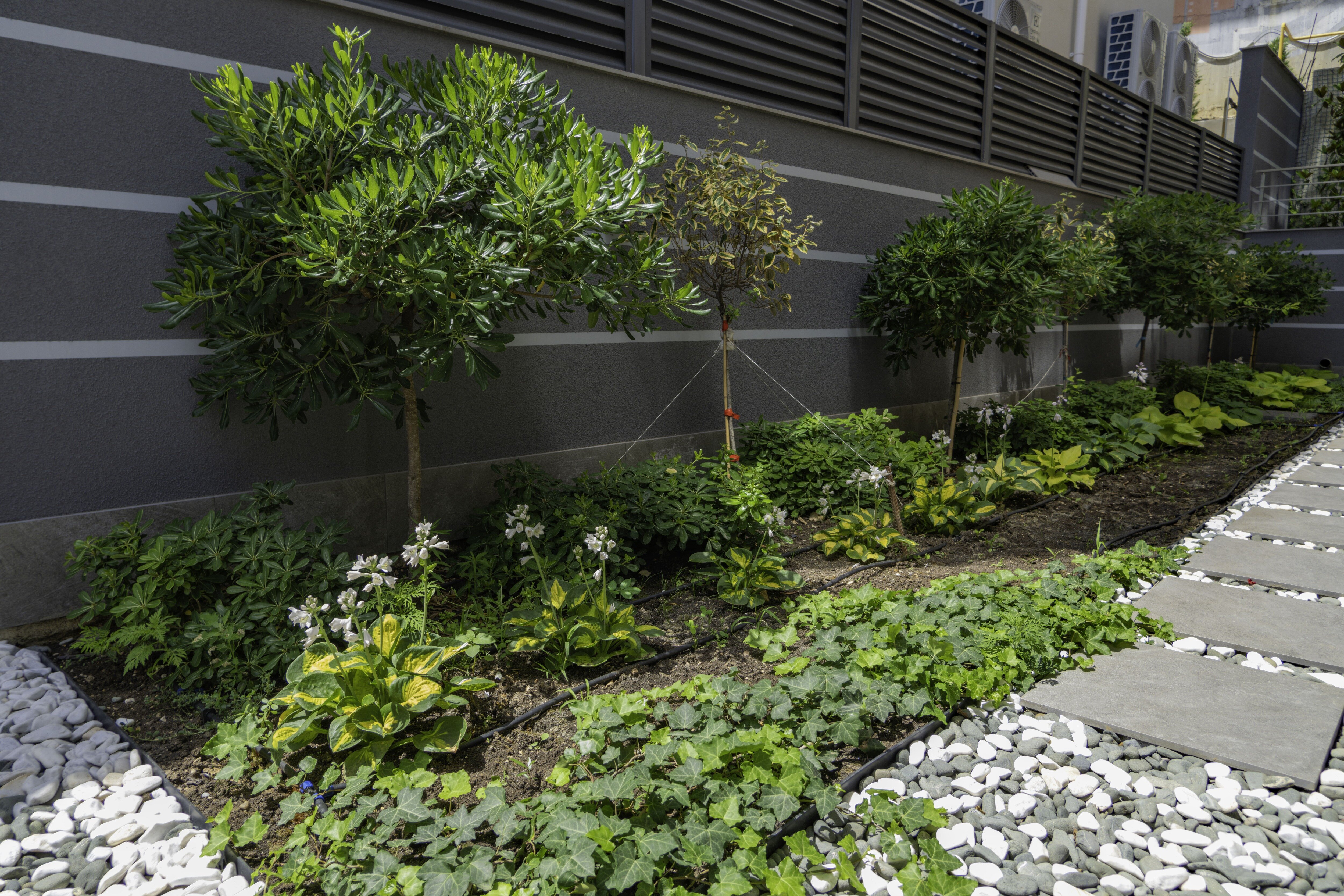 Фото МореЯлта