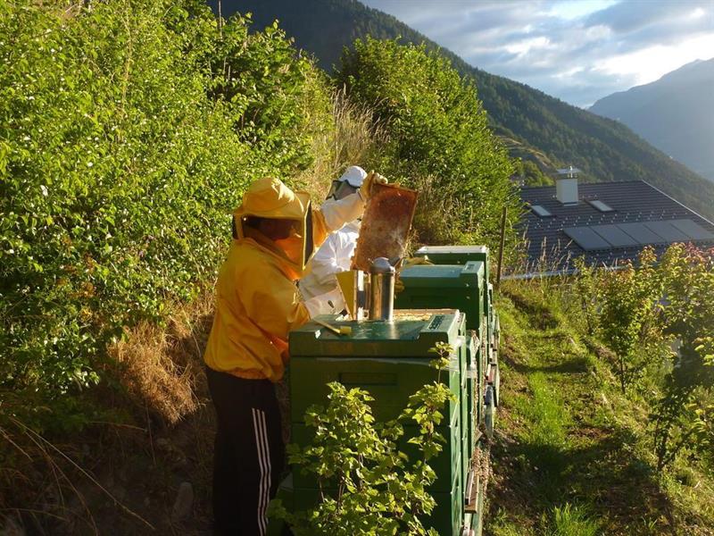 Фото Hotel Stilfserhof