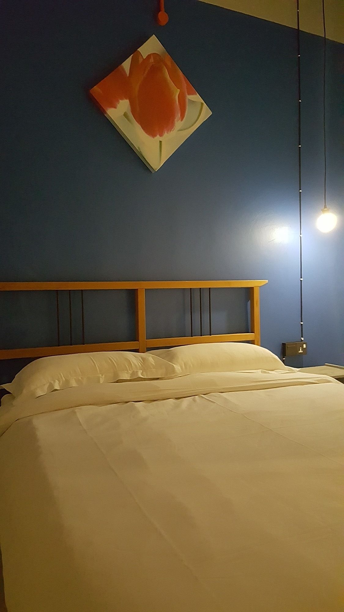 Фото Tulip Hotel