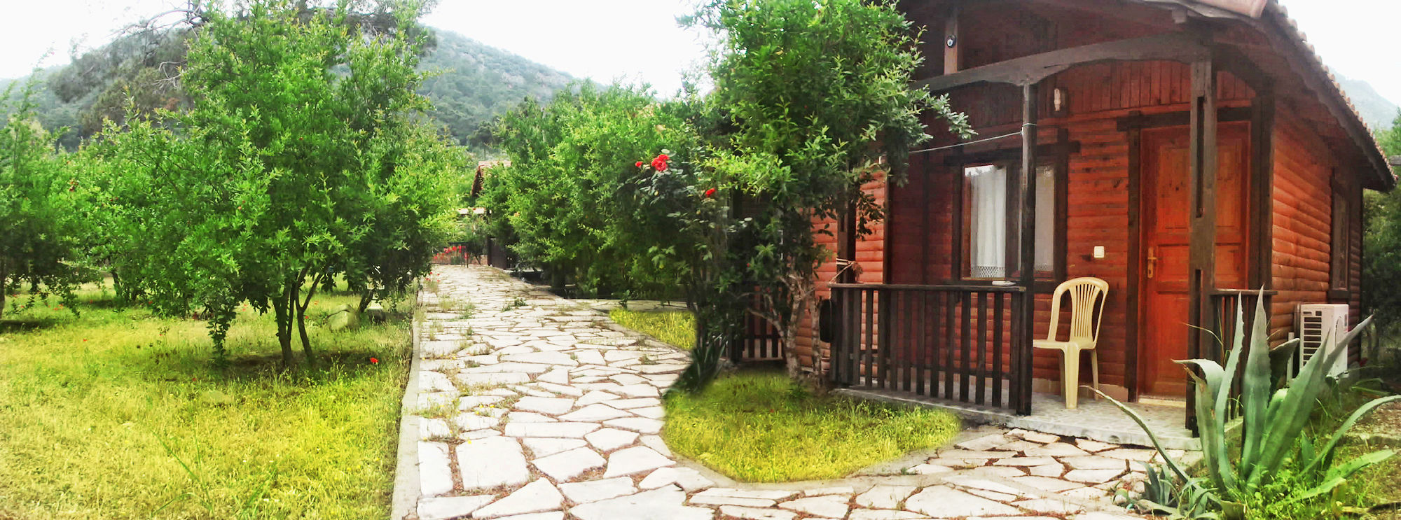 Фото Koala Bungalows