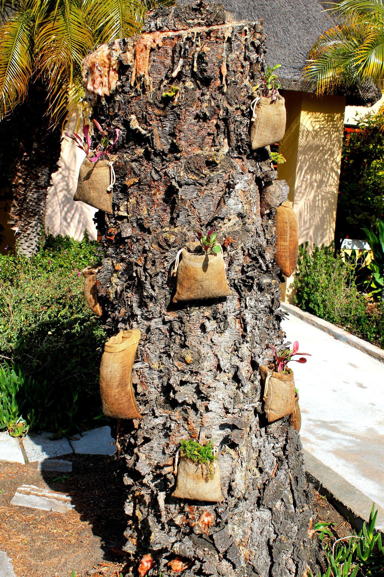 Фото INkosi Eco Lodge