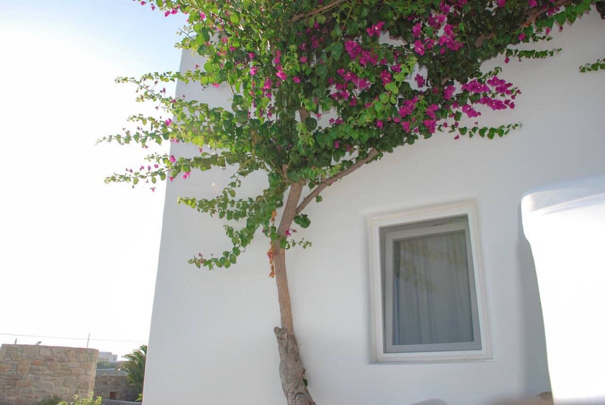 Фото Aletro Cottage Houses