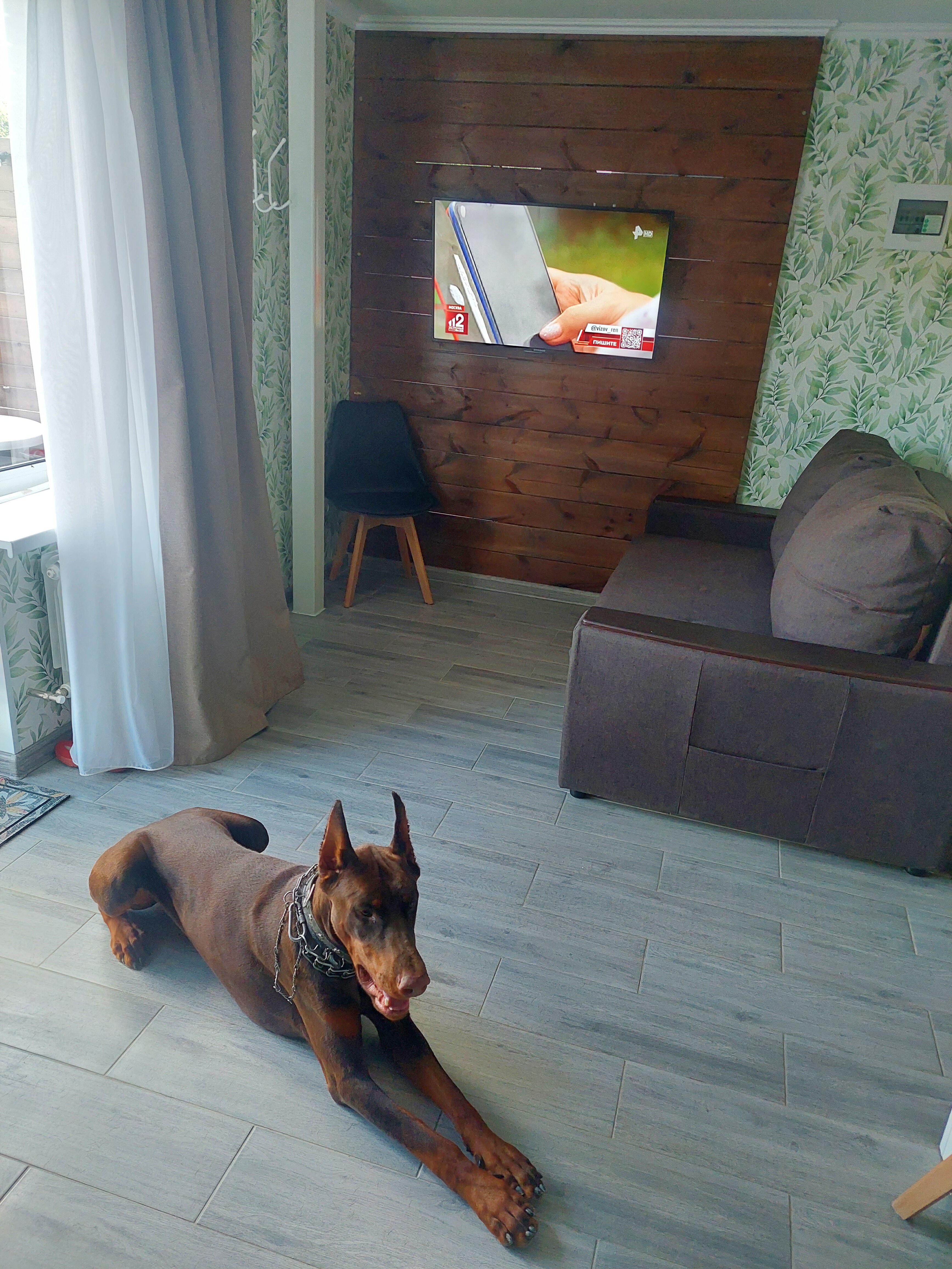 Фото Рекаоблака