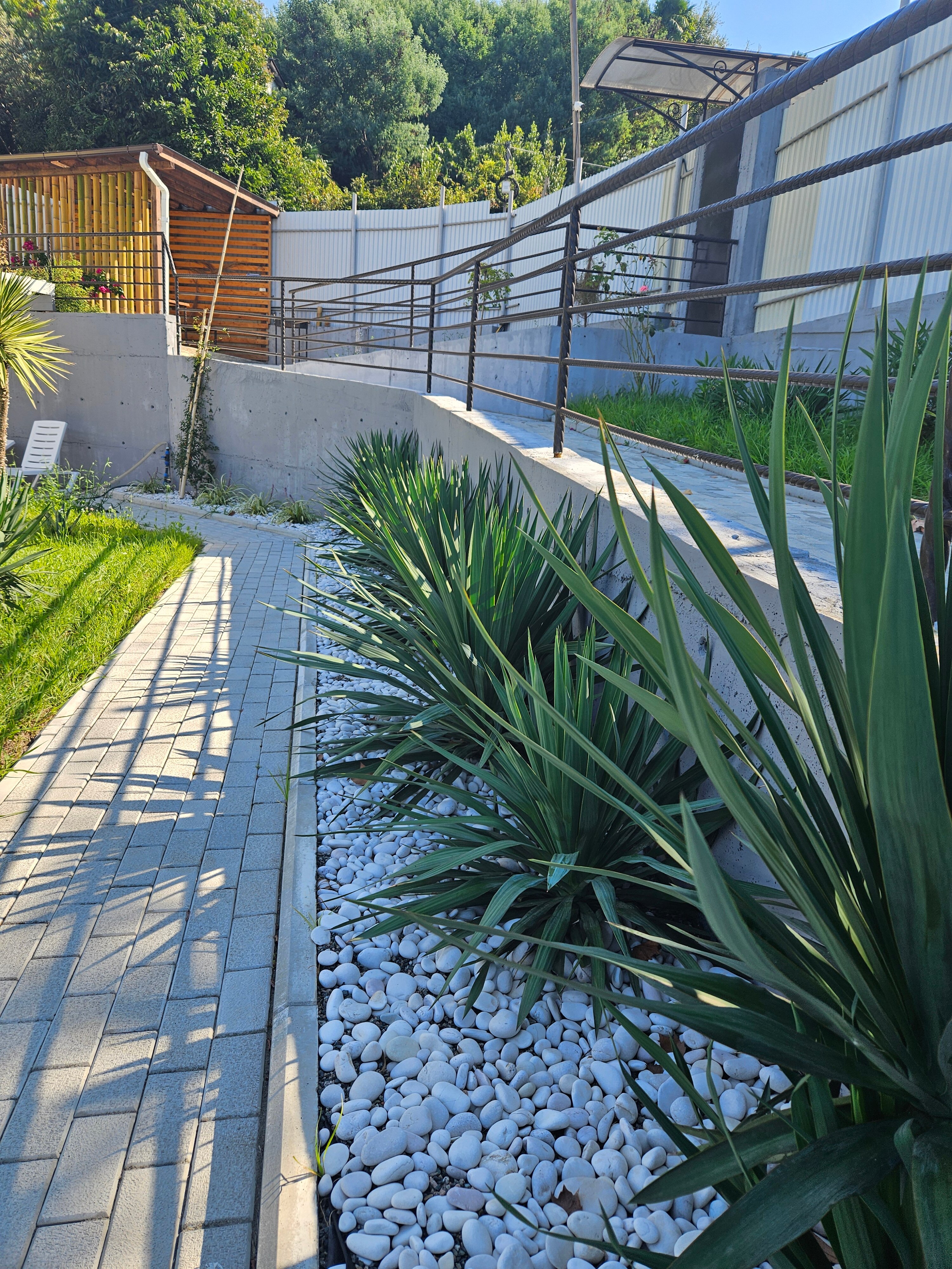 Фото Лимончелло