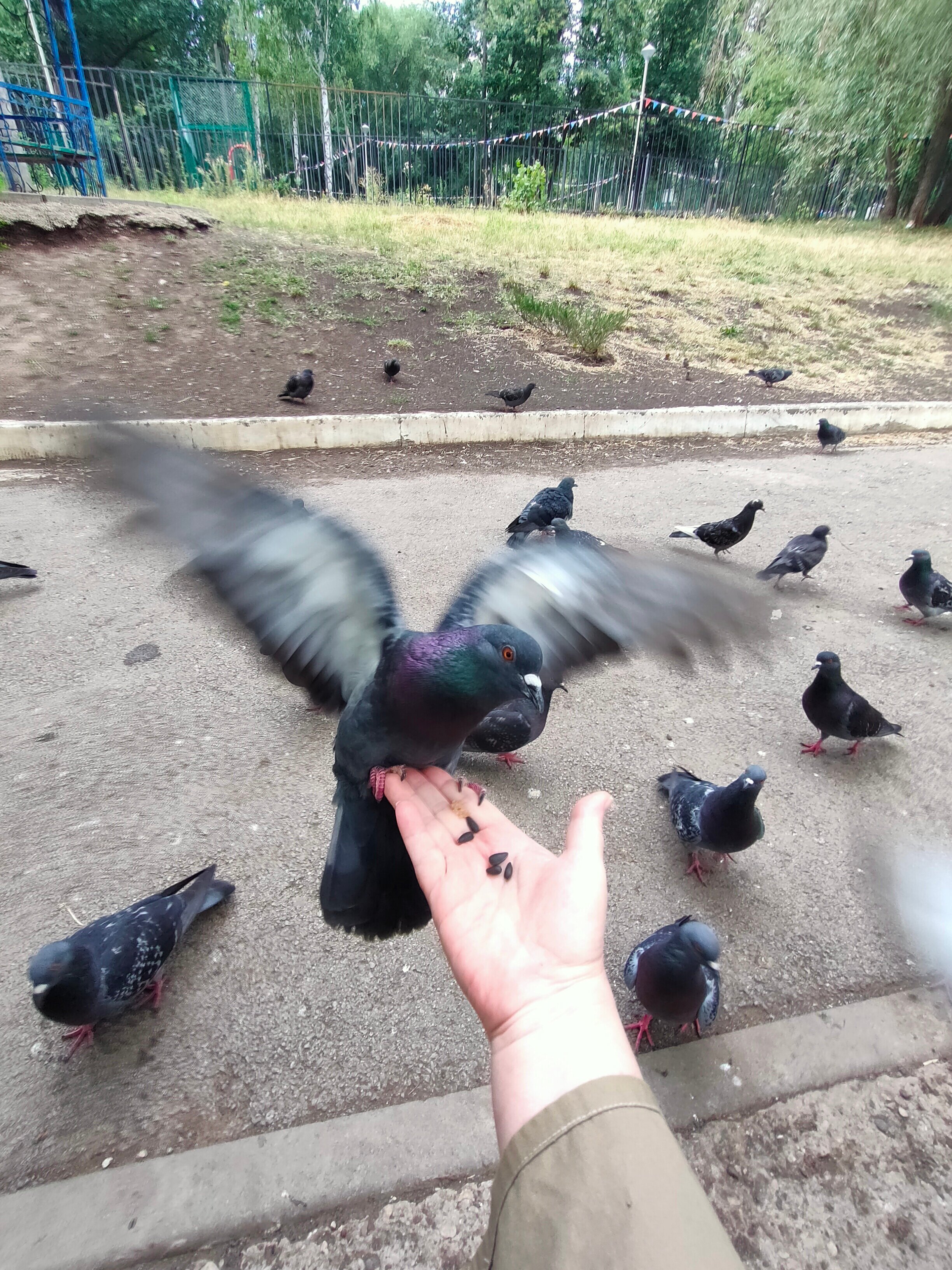 Фото Фрунзенец