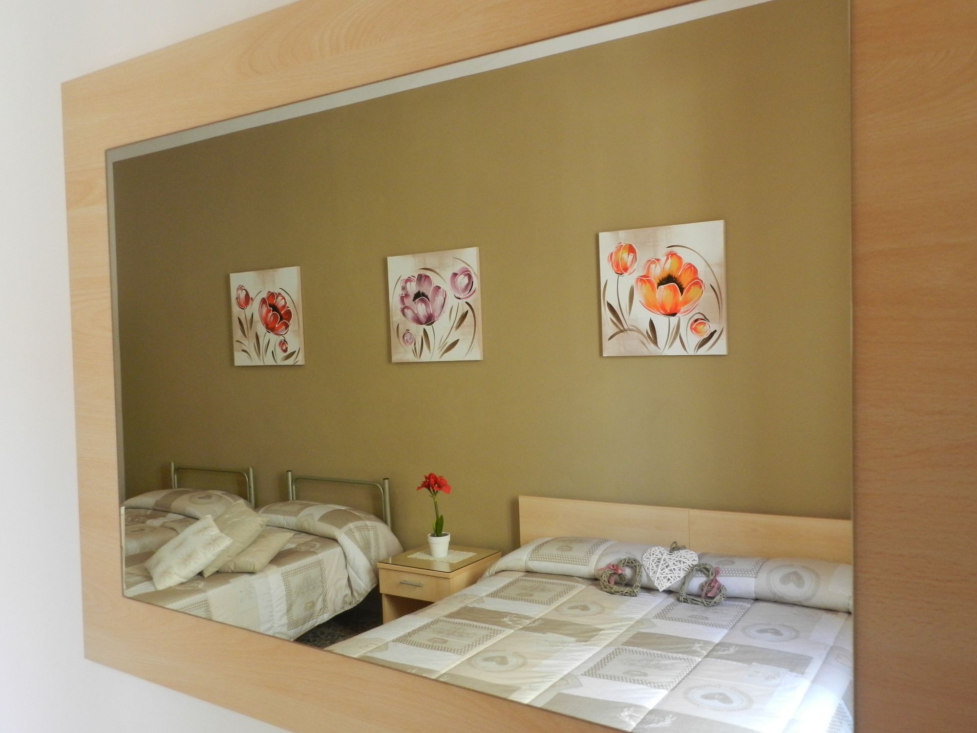 Фото Actinia Accomodation