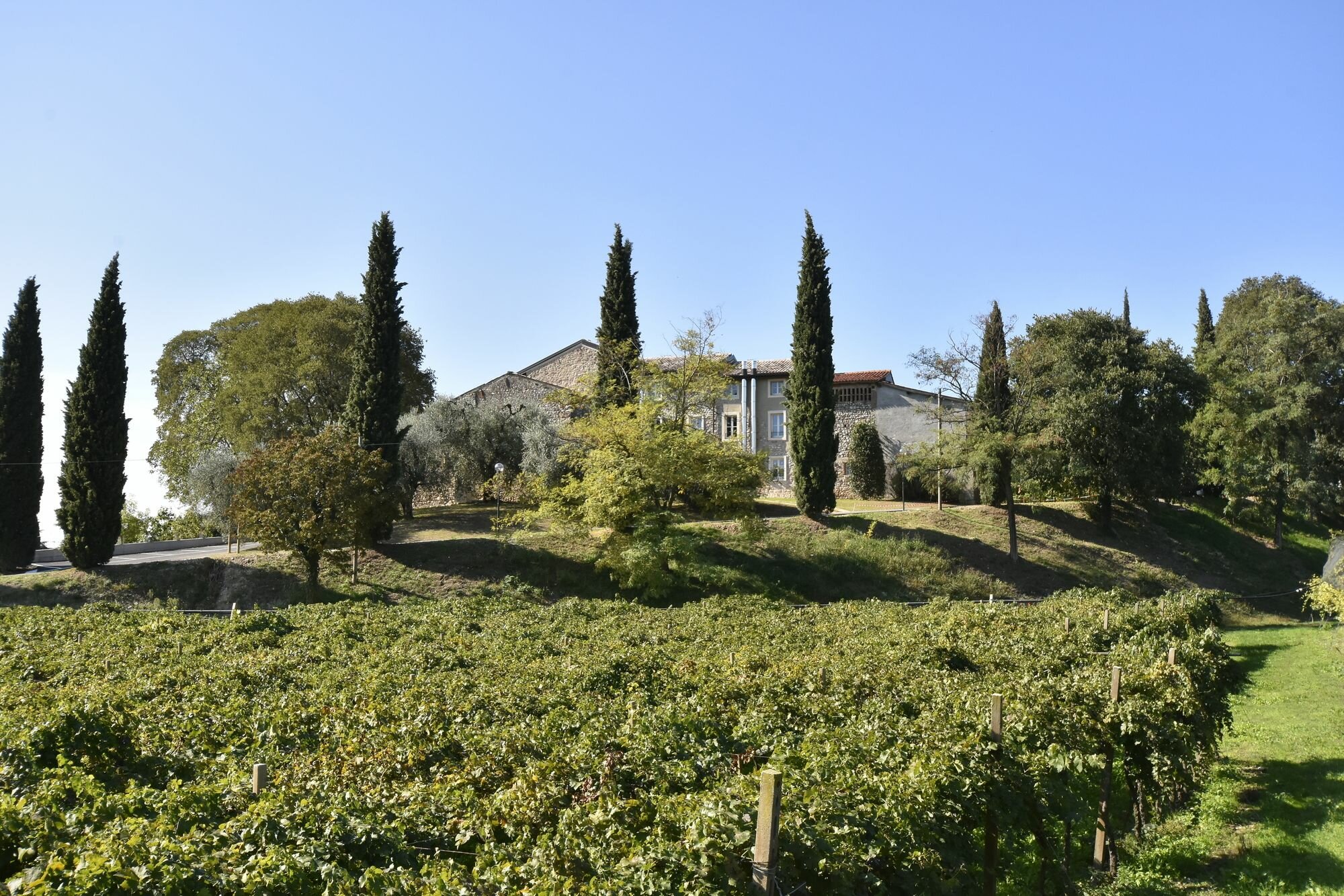 Фото Country House Le Palazzole