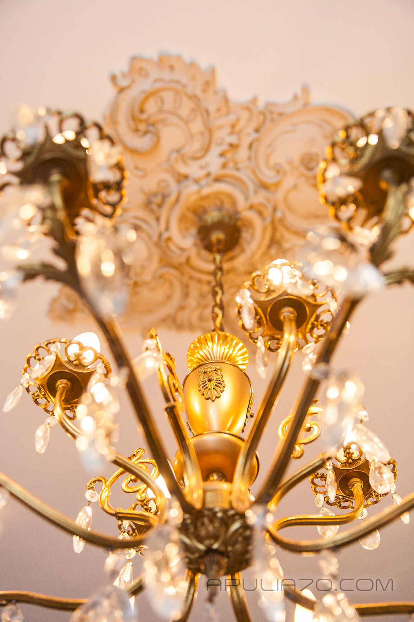 Фото Apulia 70 Holidays