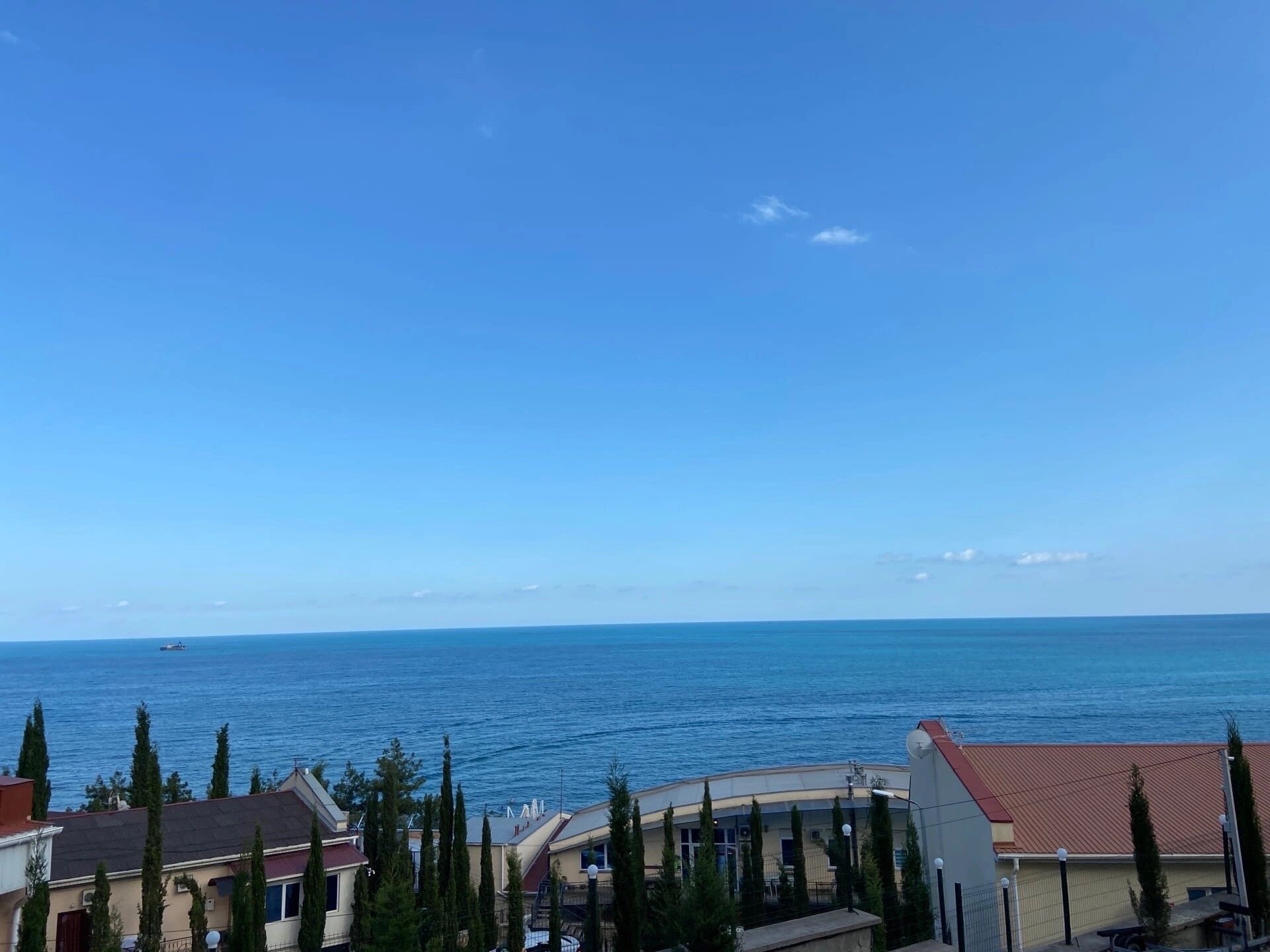 Фото Лаванда