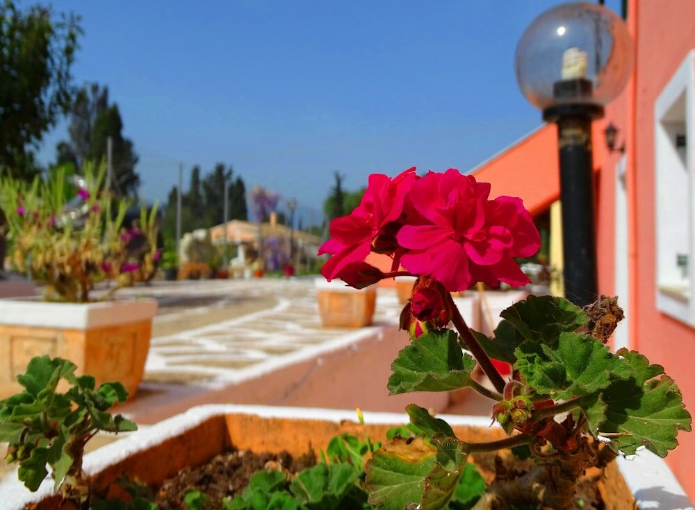 Фото Joanna Apartments