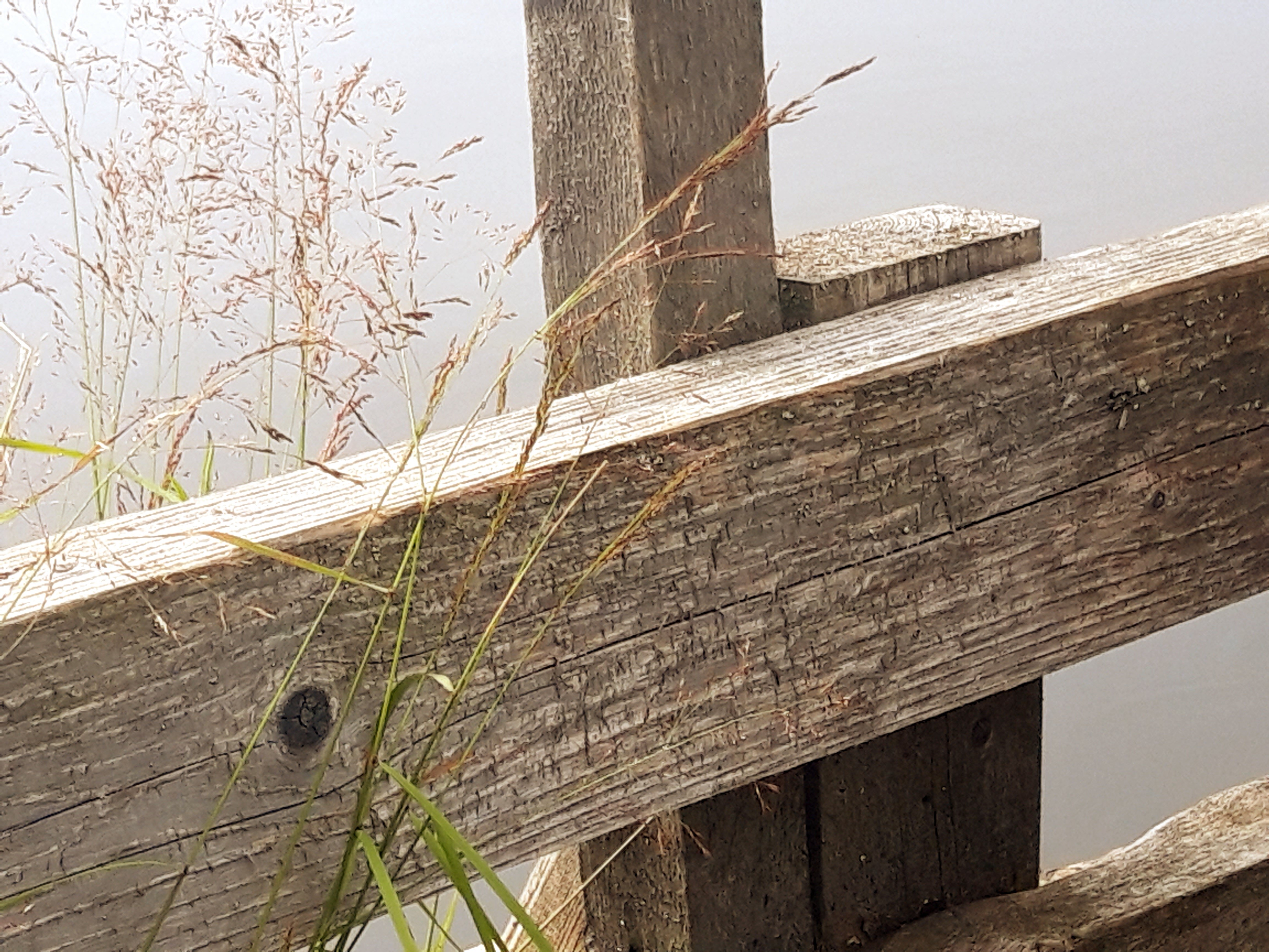 Фото Хутор Варяжский