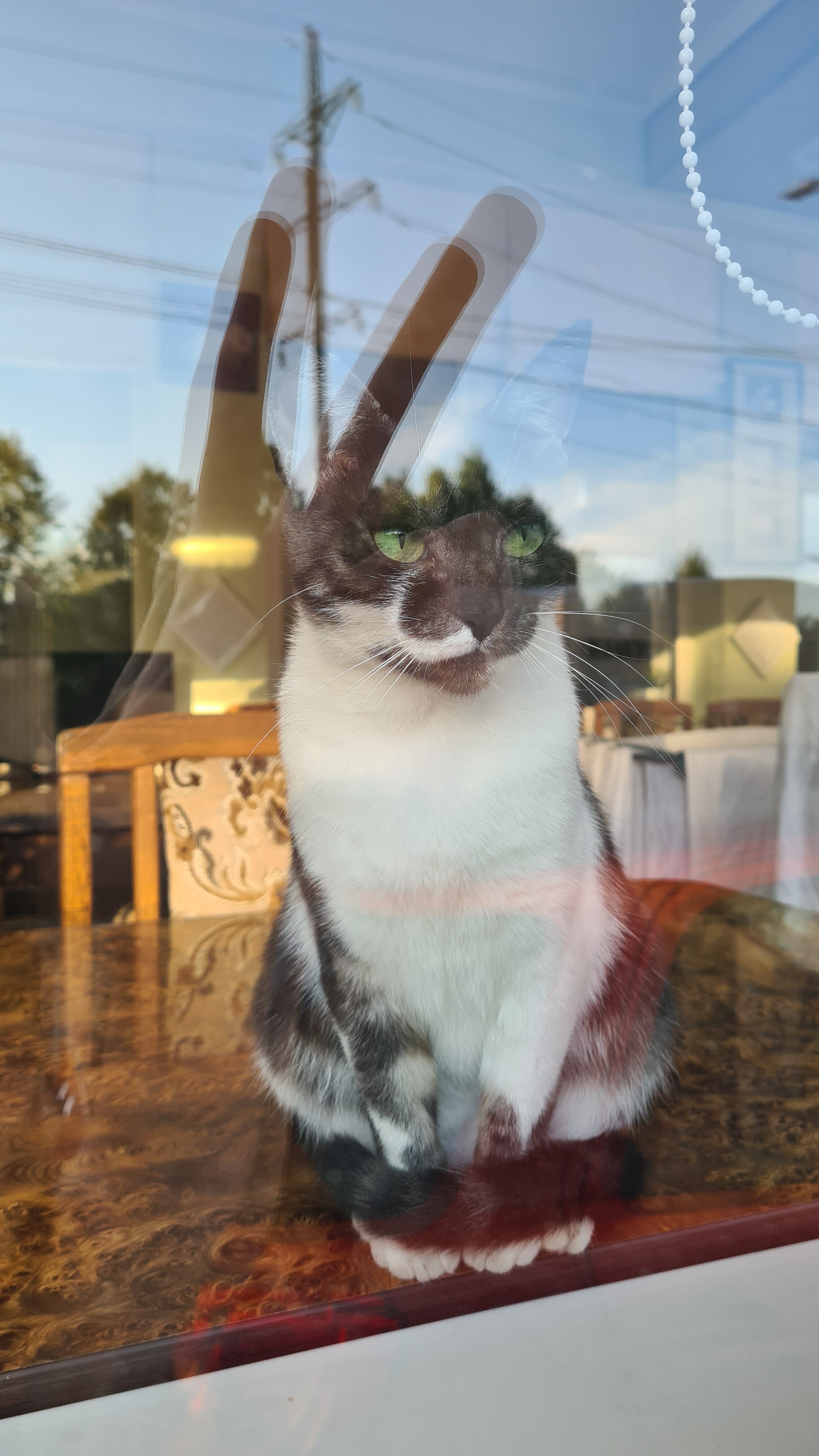 Фото Юбилейная