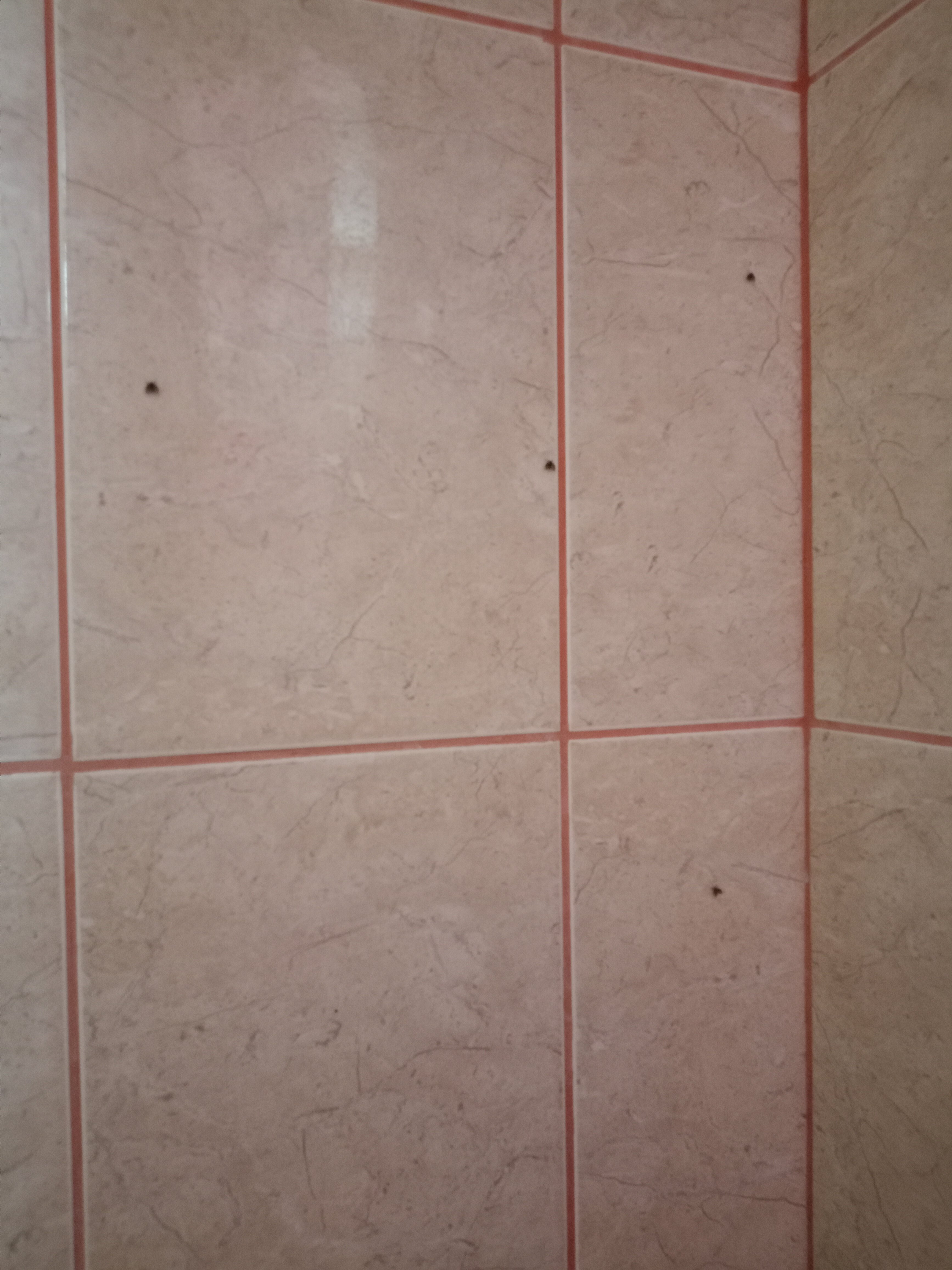 Фото Надежда