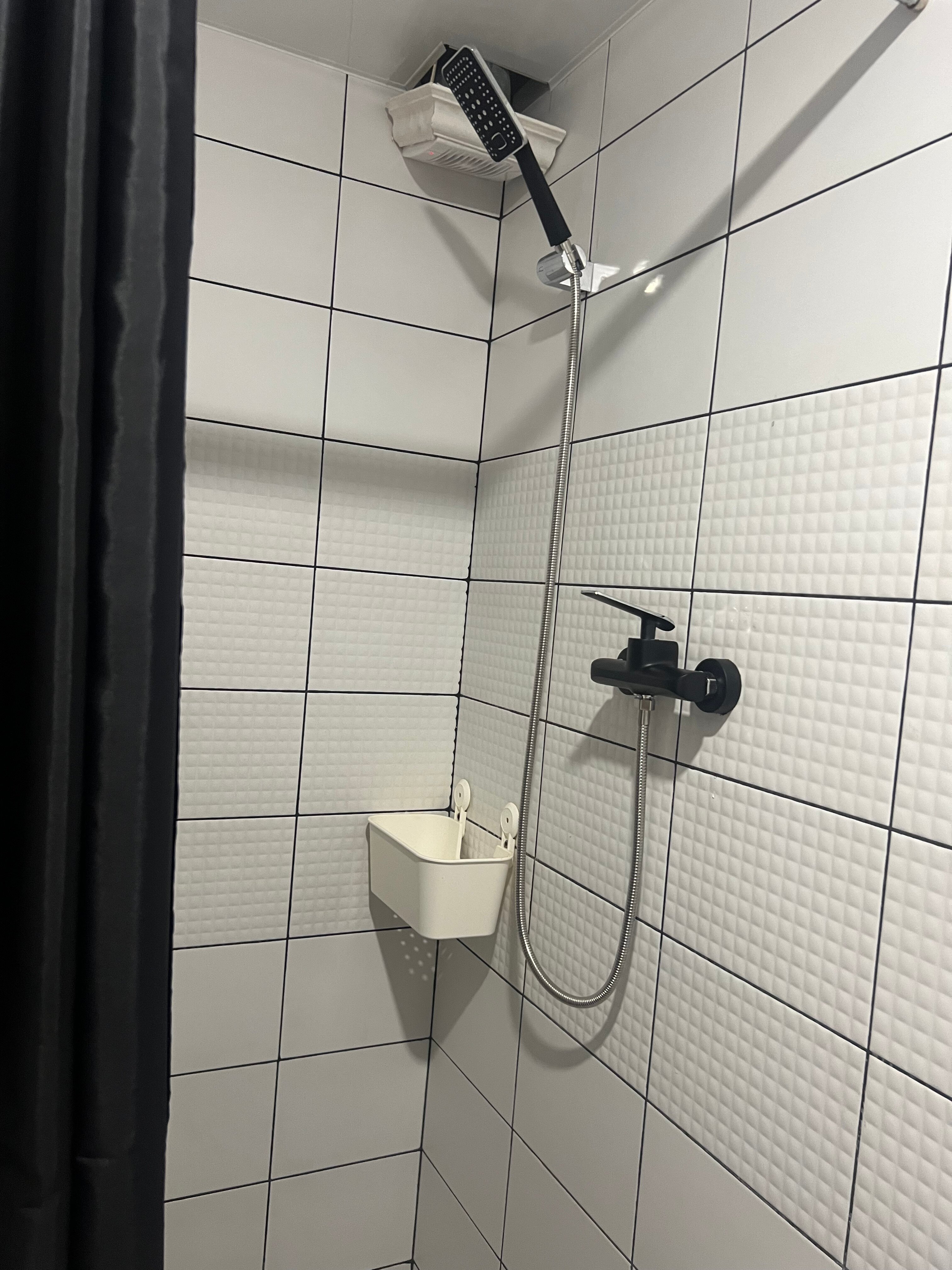 Фото Фламинго