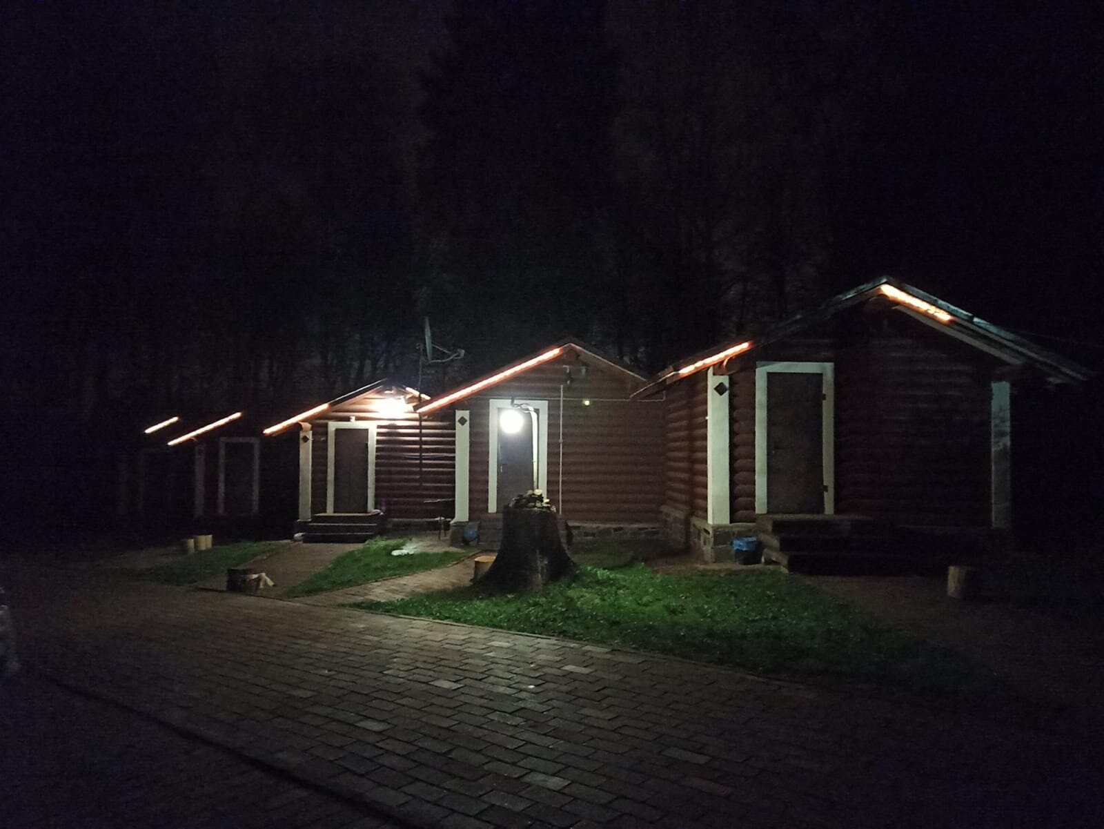 Фото Берёзовая роща