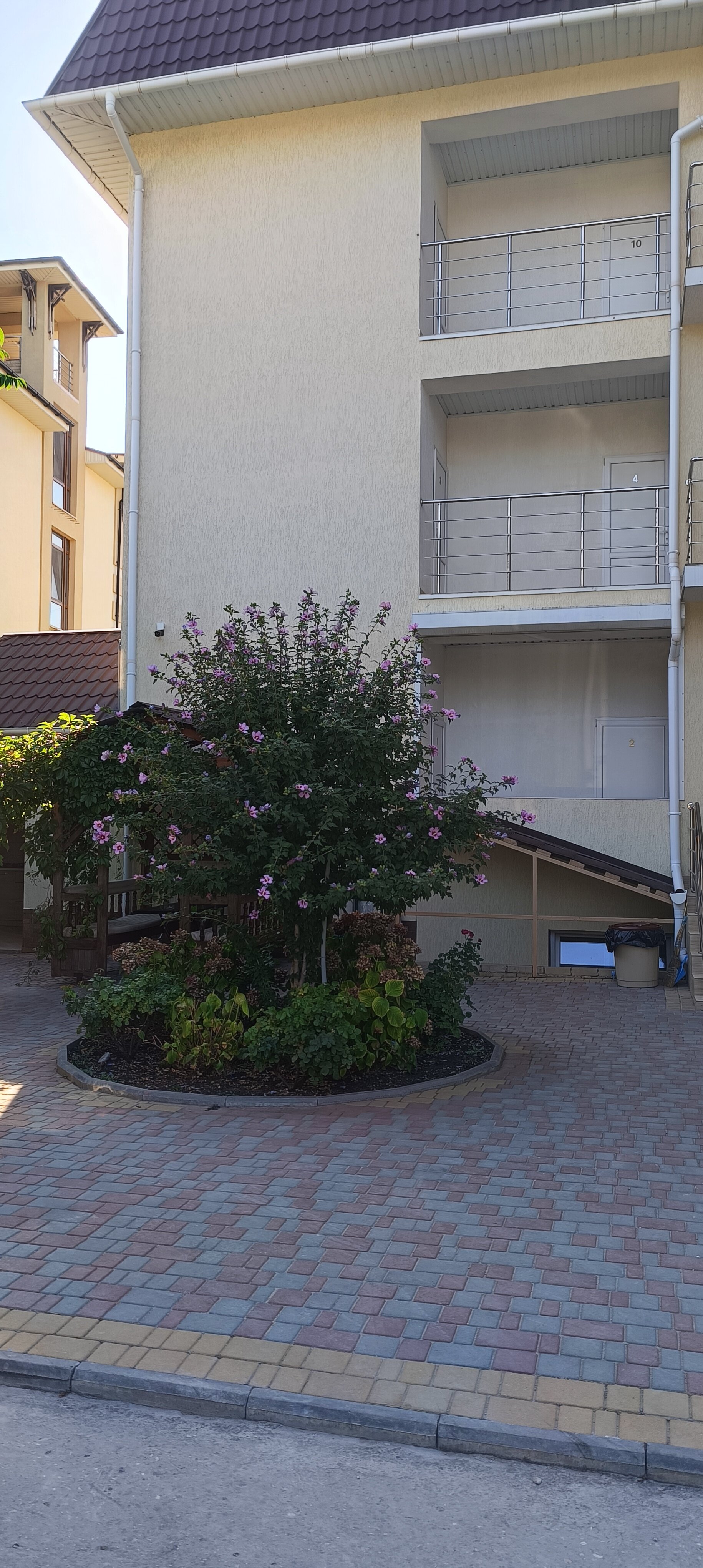 Фото Шампань