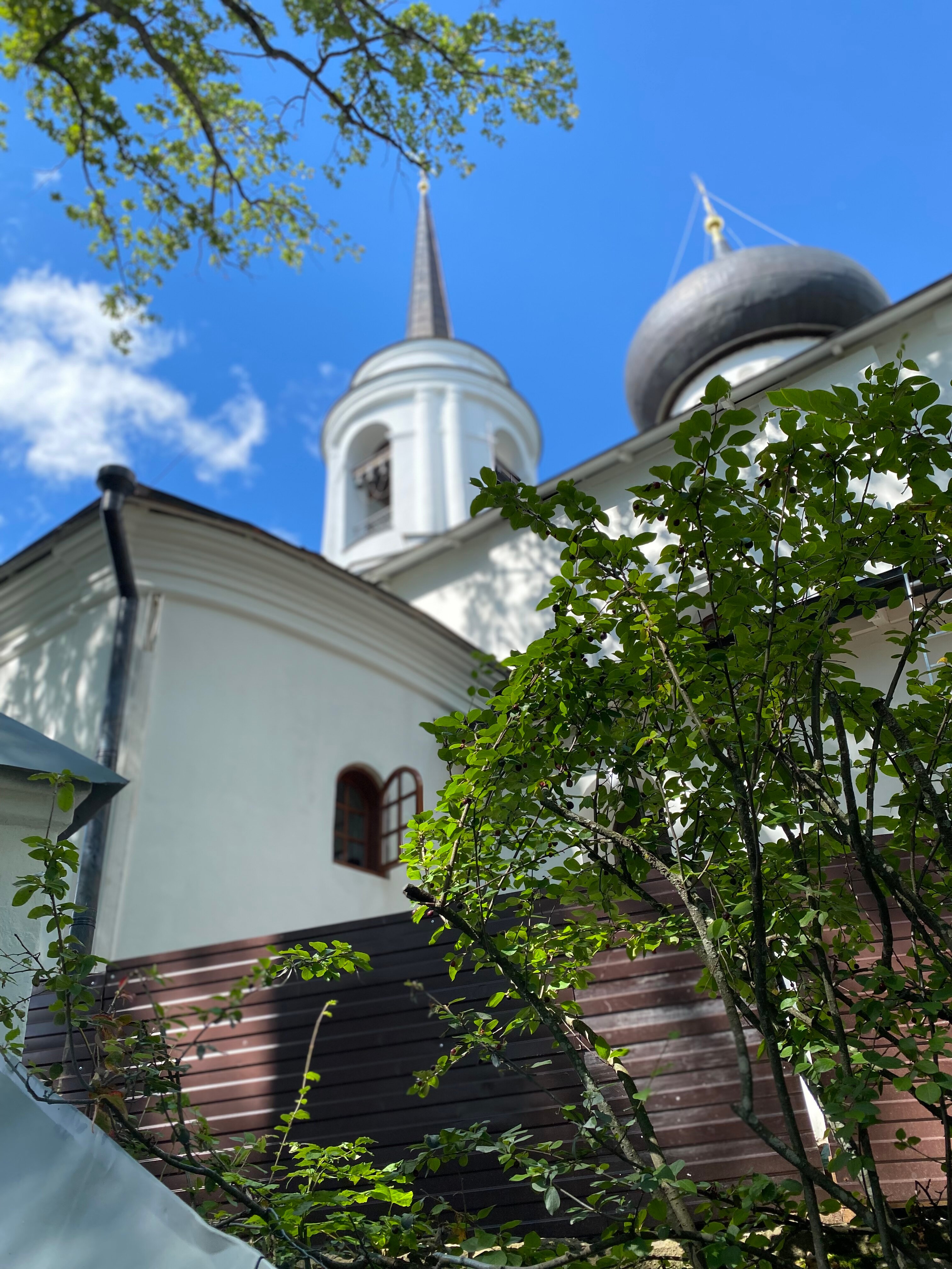 Фото Пушкиногорье